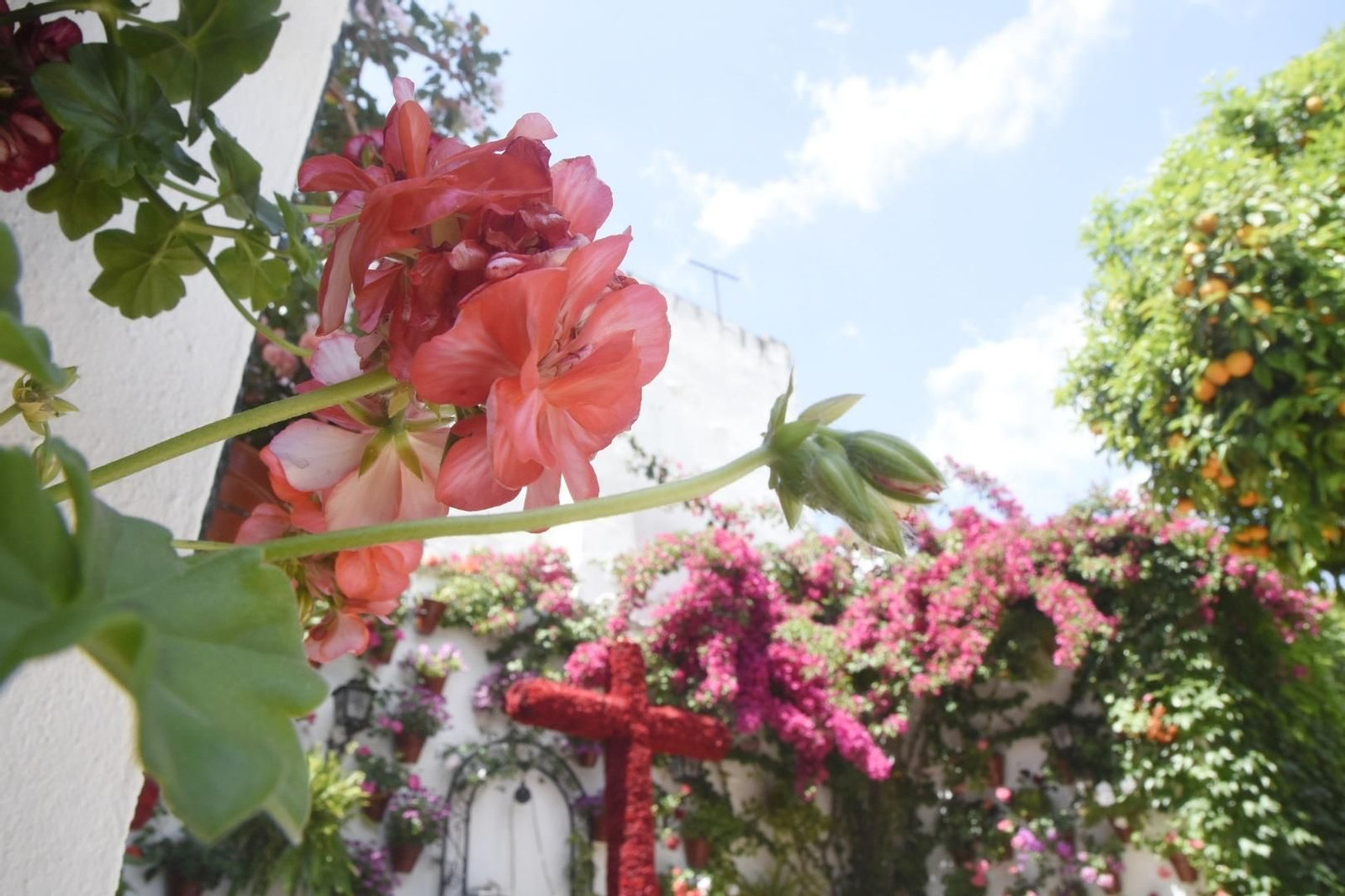 Las Cruces de Mayo ganadoras del concurso de 2019, en imágenes