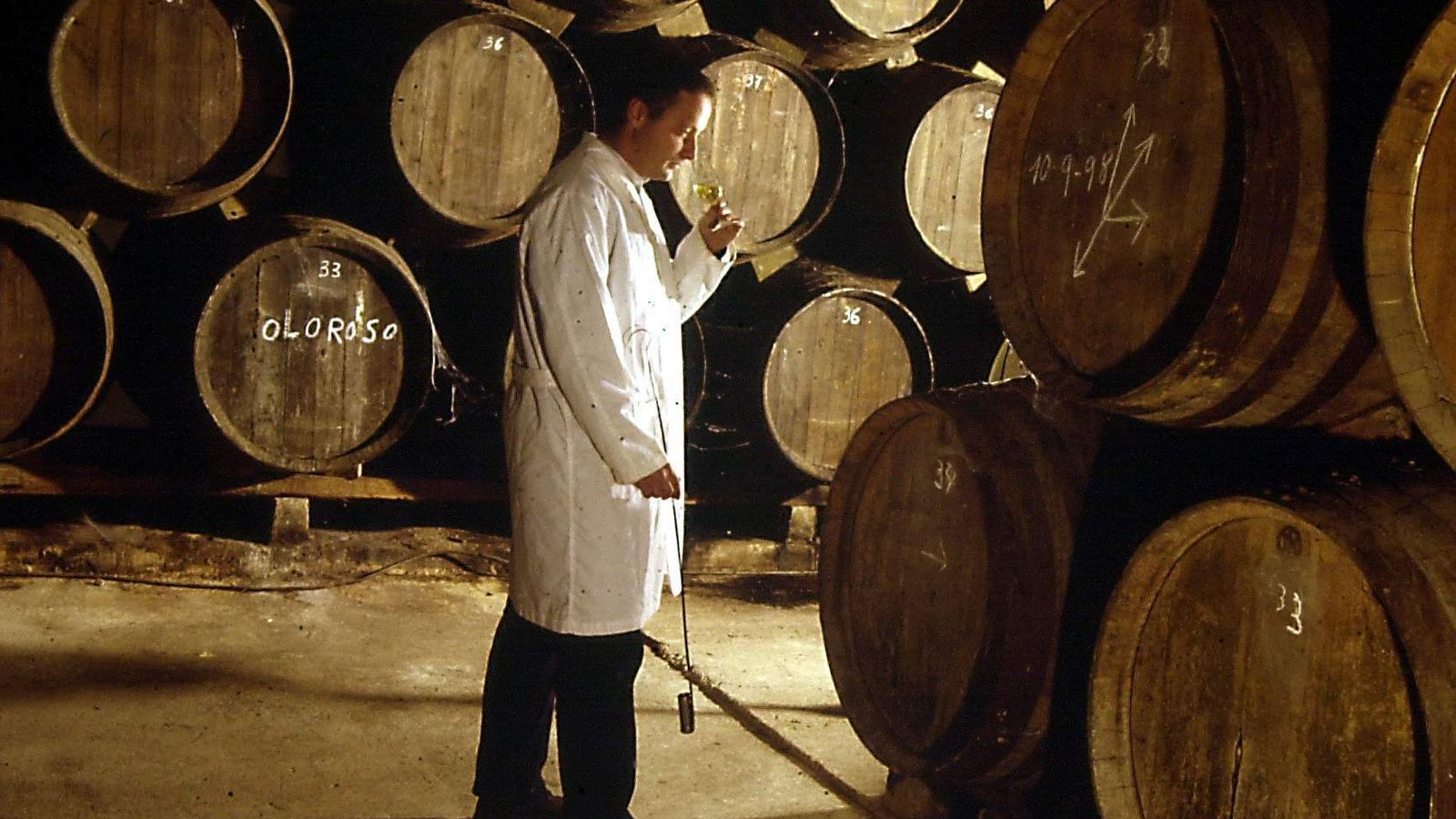 Visita a unas bodegas.