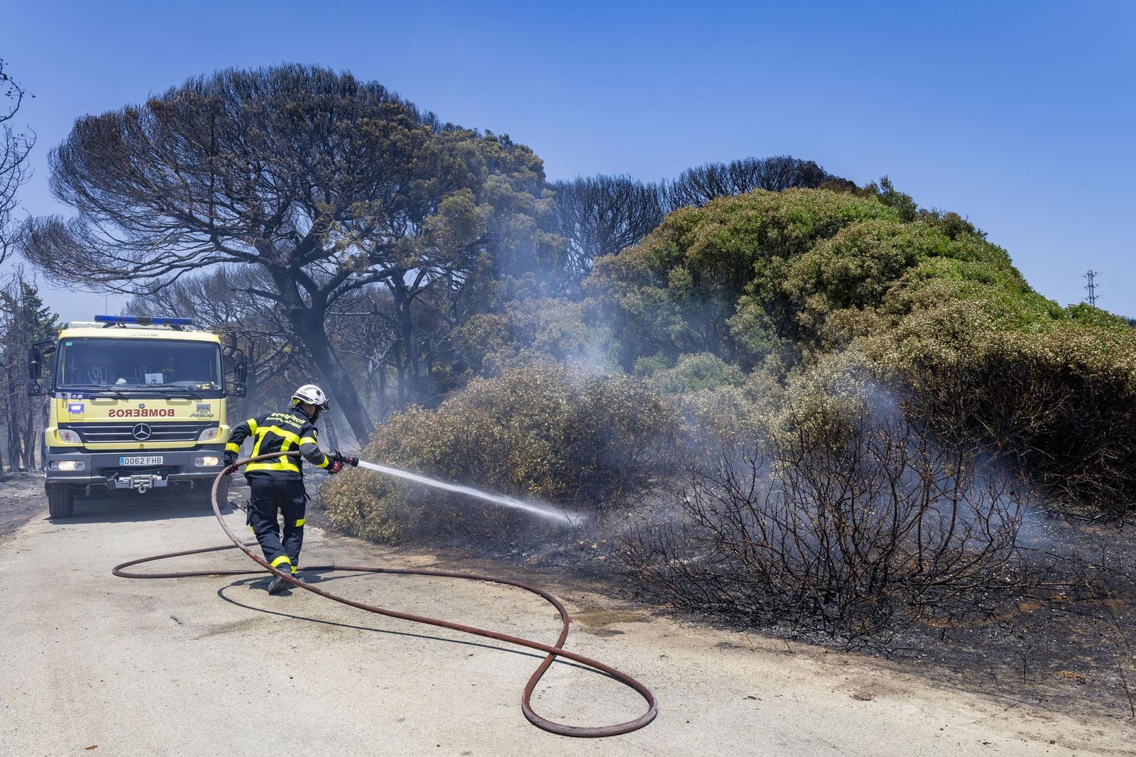 Las imágenes del incendio declarado junto a Roche, en Conil