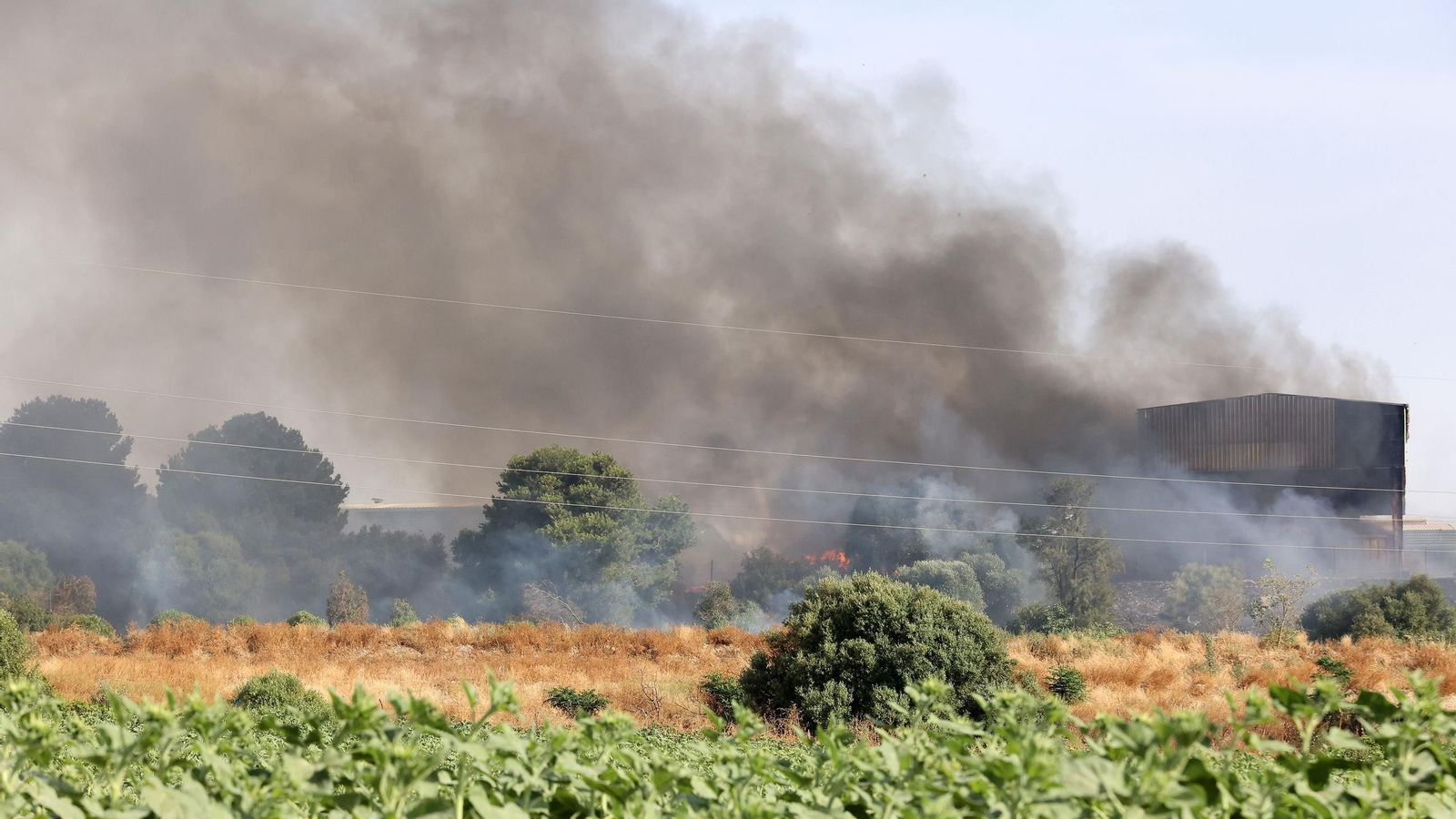 Imágenes del incendio en la planta de Las Calandrias en Jerez