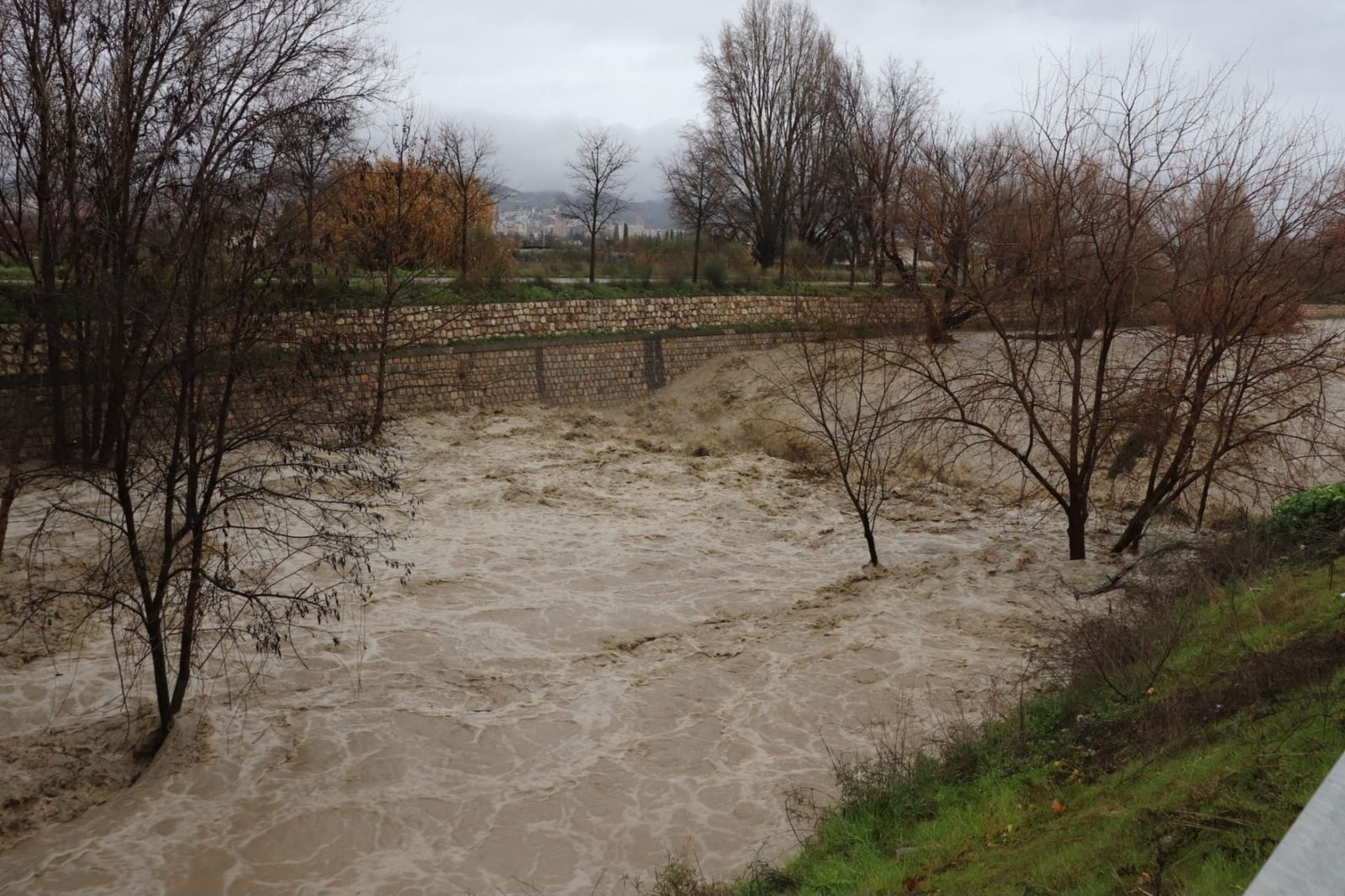 WhatsApp Image 2026-02-04 at 09.29.38 (1)