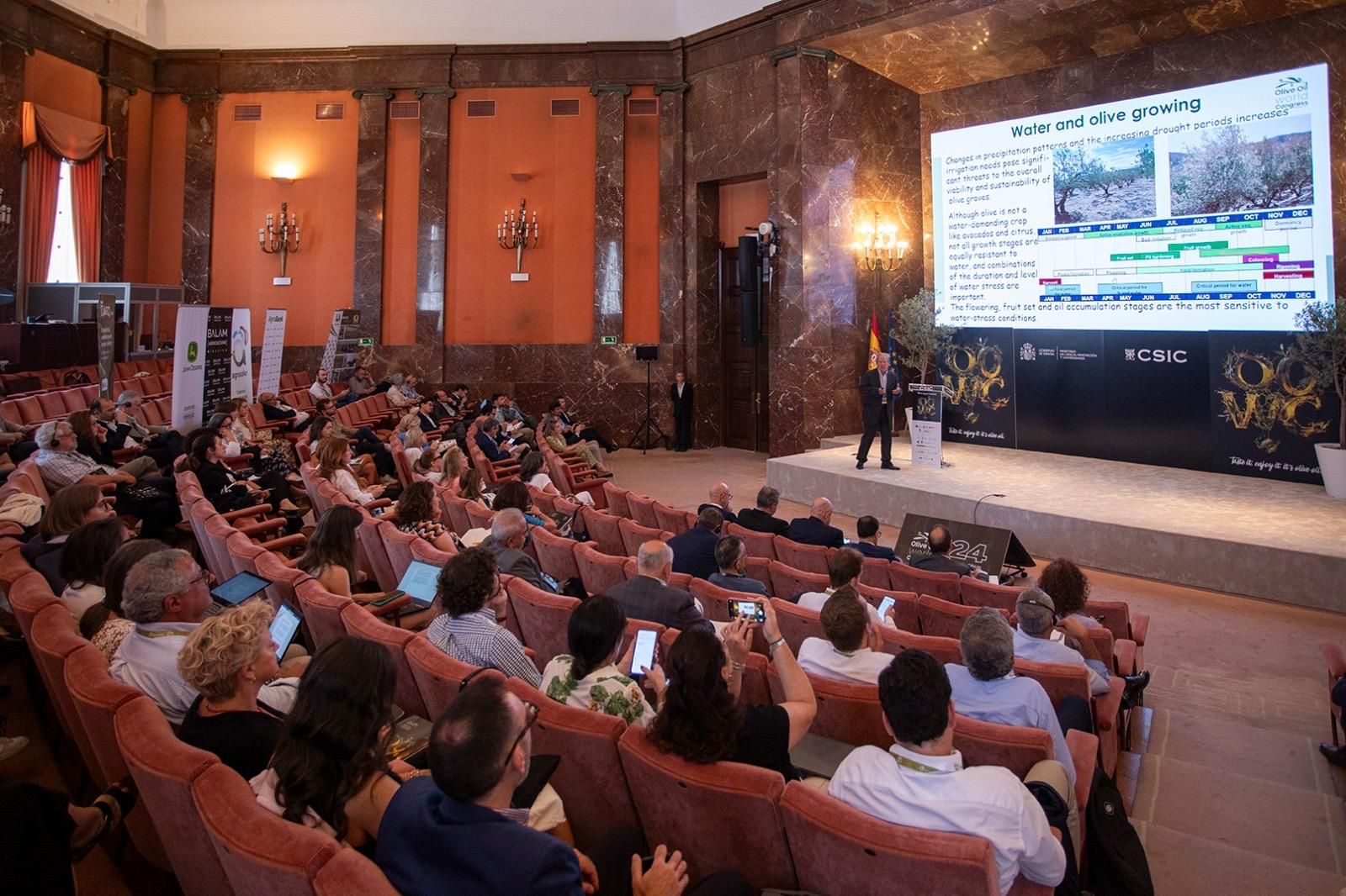 Una de las conferencias del Congreso Mundial del Aceite de Oliva del pasado año.