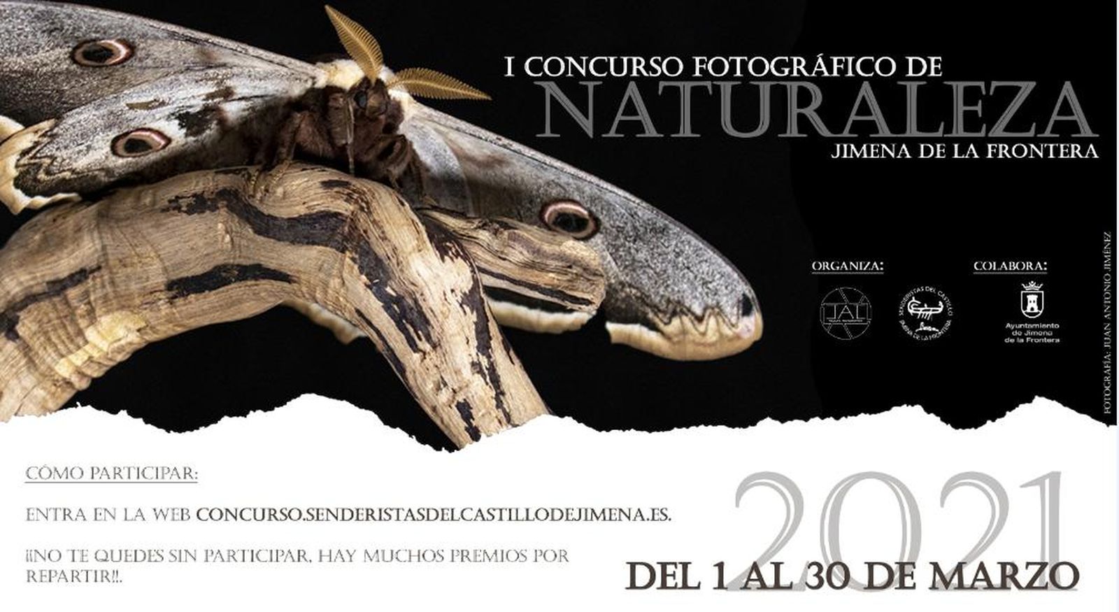 Cartel anunciador del concurso de fotografía de Jimena