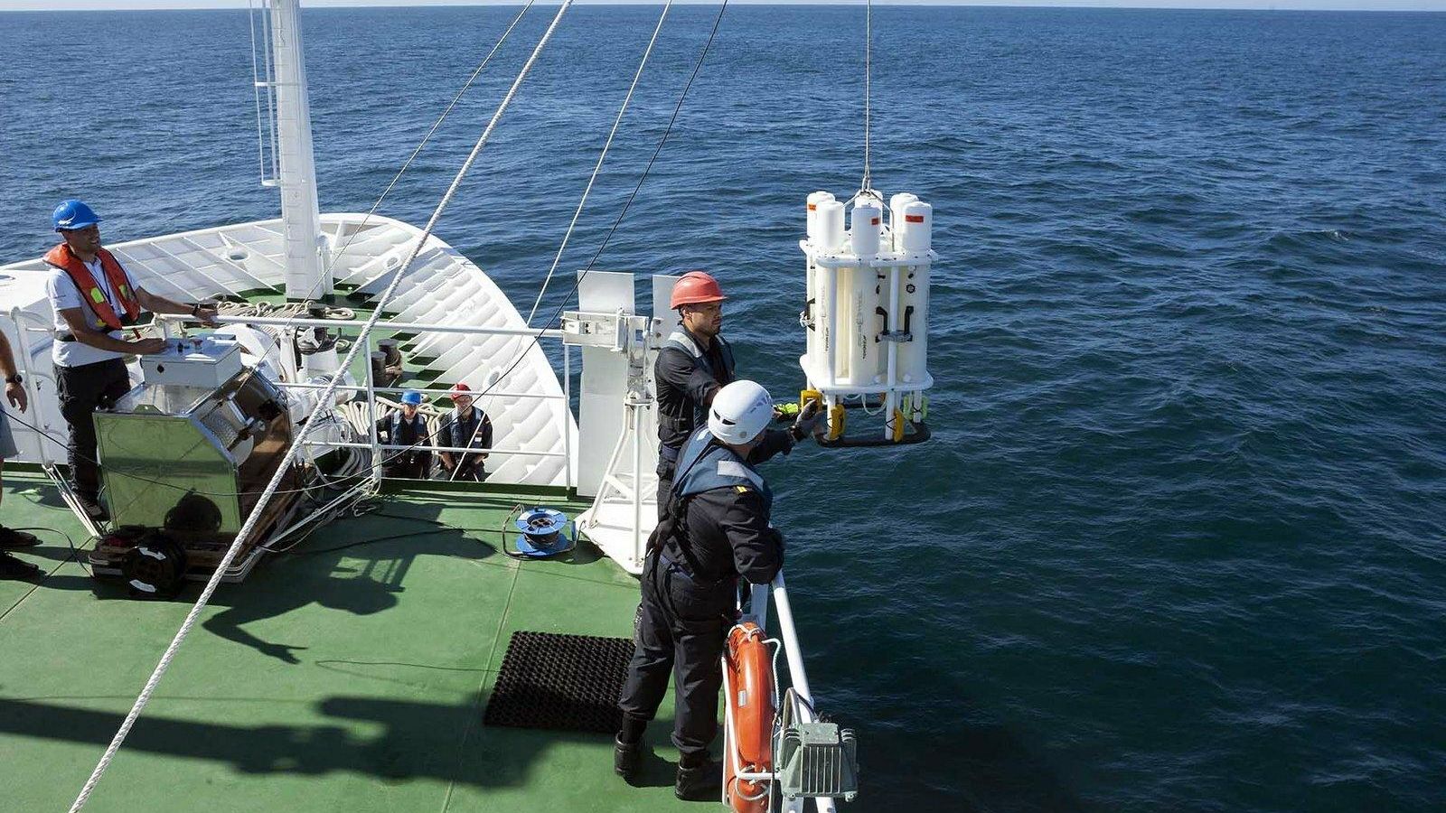 Muestreo en aguas de la Bahía.