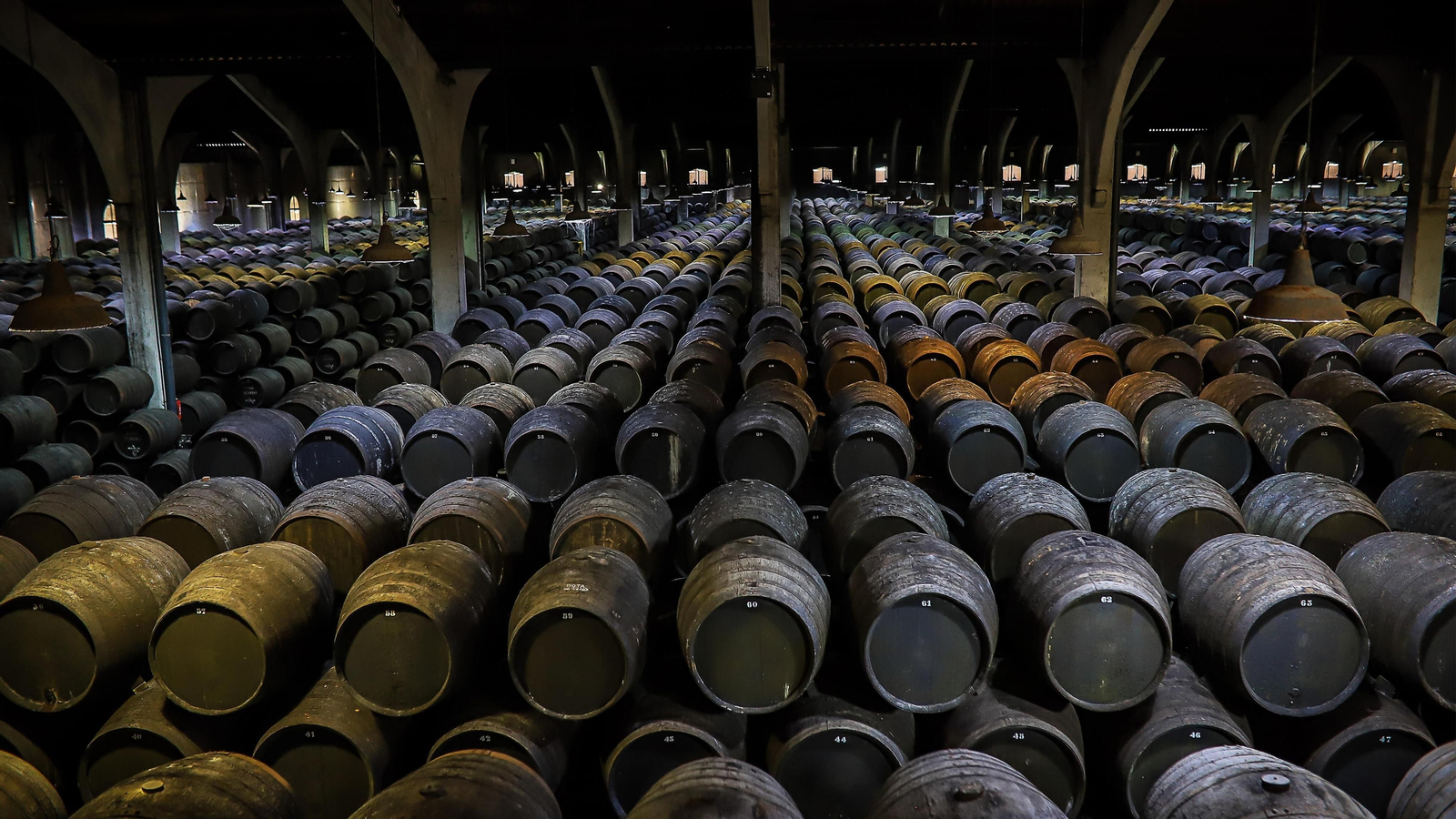 Imágenes de la vendimia de Bodega Estévez