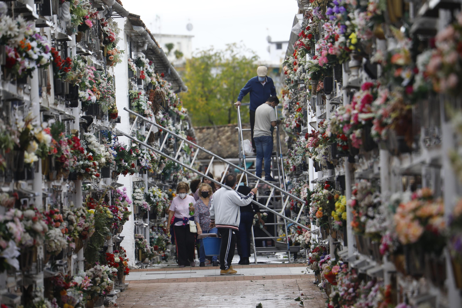 El Día de Todos los Santos de Córdoba, en fotografías