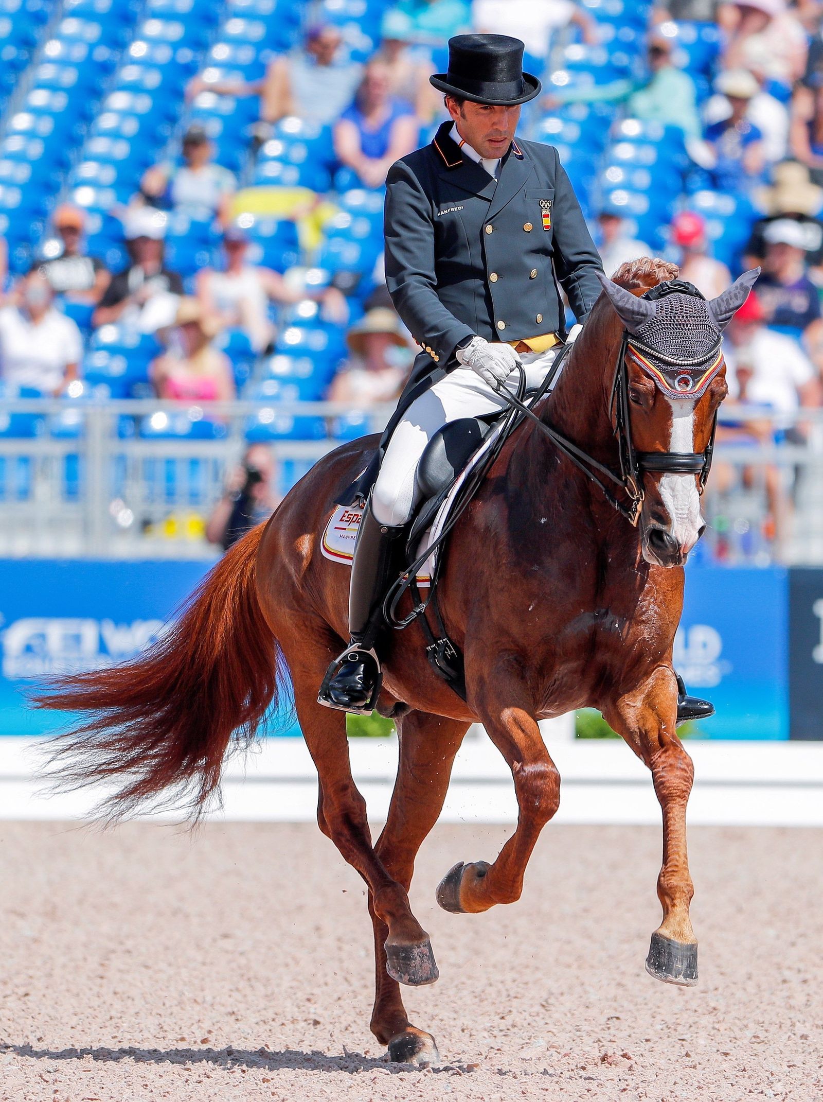 El jerezano Claudio Castilla acaricia a su caballo 'Alcaide' tras competir en el Gran Premio de doma clásica.