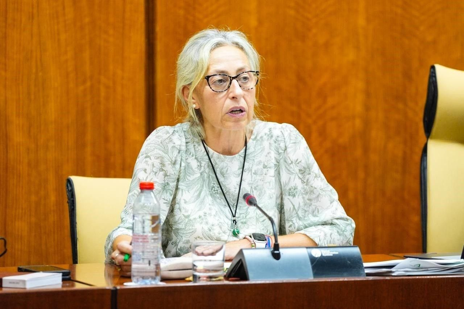 La consejera de Salud, Rocío Hernández, en comisión parlamentaria.