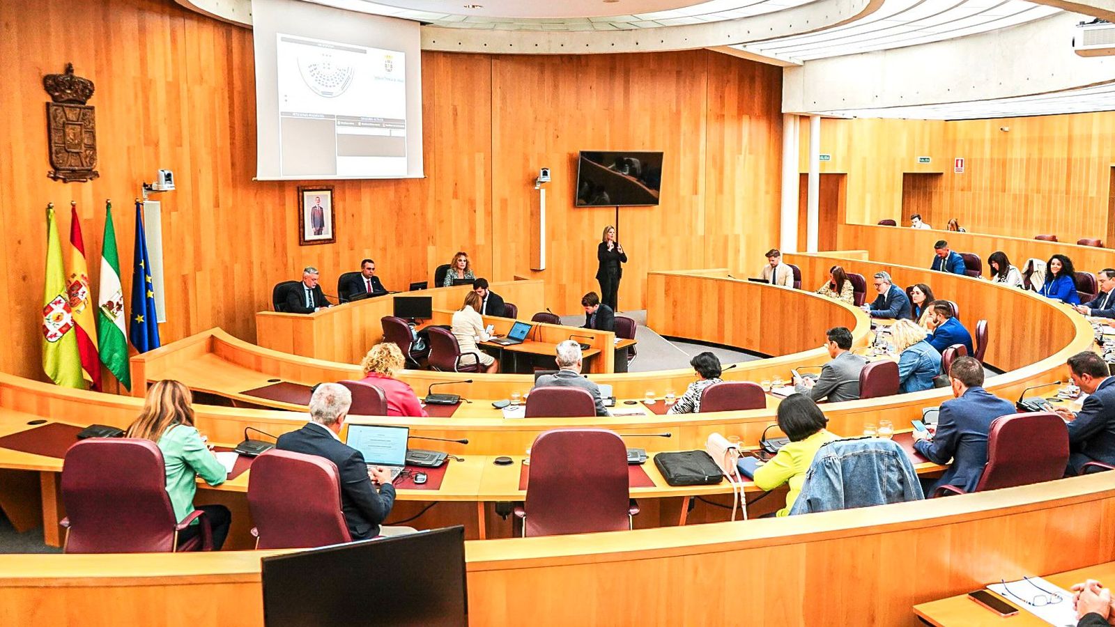 Imagen del pleno celebrado este viernes en la Diputación de Granada