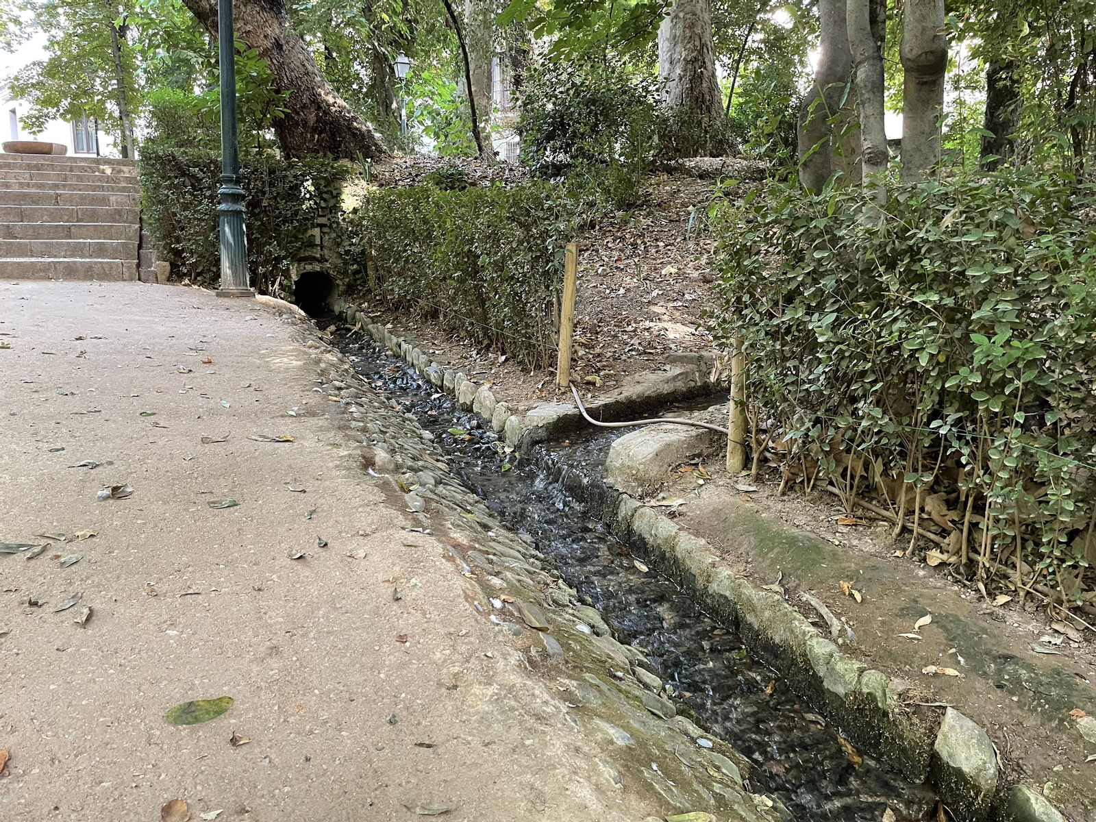 Desde lo más alto de la cuesta empieza el pequeño camino de agua