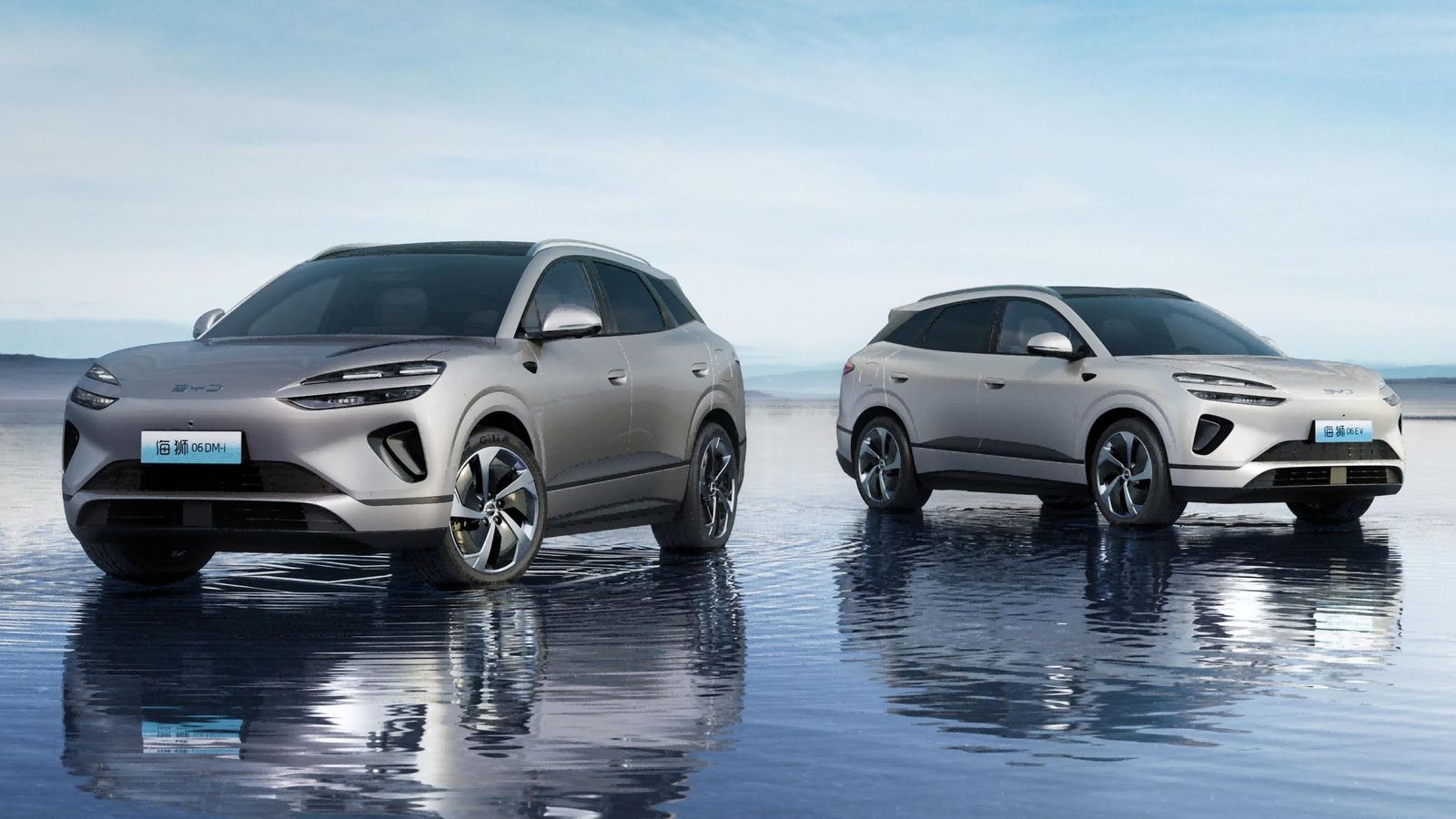 El Sealion 6 tiene un perfil, incluida su dualidad de motores, que encaja con el perfil de los mercados europeos.