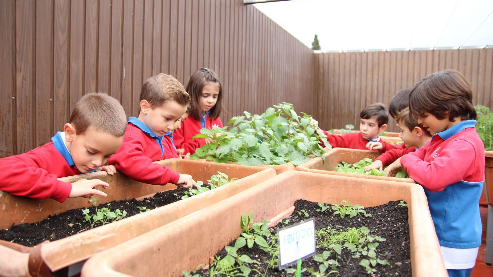 En homenaje a su fundadora, El Centro Inglés ofrece desde hace varios años las Becas LMR para cursar Bachillerato en el colegio. Estas becas cubren la enseñanza, comedor, transporte y libros, y están destinadas a estudiantes cuyos valores coincidan con los del Centro.