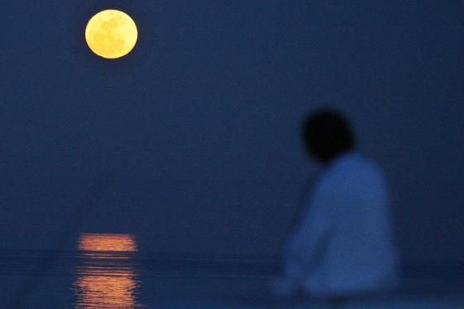 La marea histórica se vivió en las playas del Campo de Gibraltar con mucha espectación, sobre todo en la de Poniente de La Línea y El Rinconcillo de Algeciras./Fotos:Paco Guerrero/Shus Terán/J.M.Quiñones

Foto: Paco Guerrero/J.M.Q./Shus Teran/