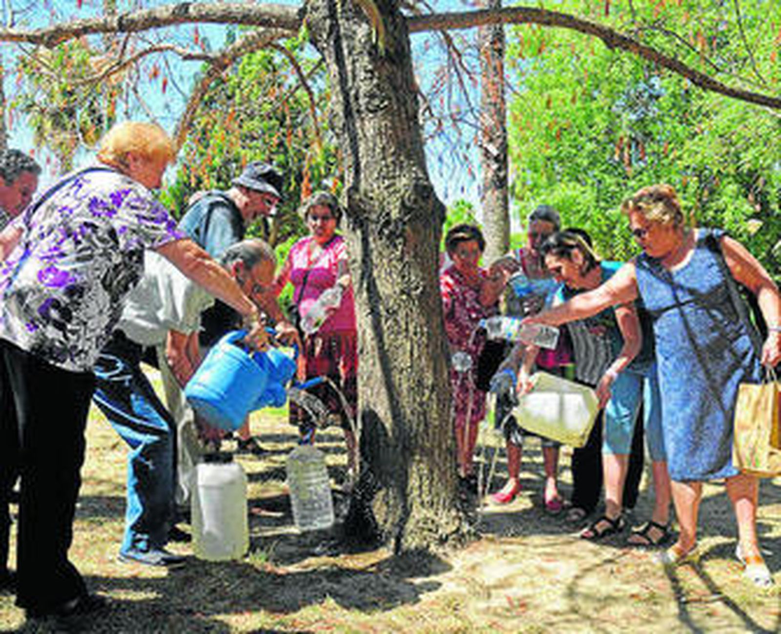 Vecinos de la Oliva regando el árbol de Tule que se ha secado.