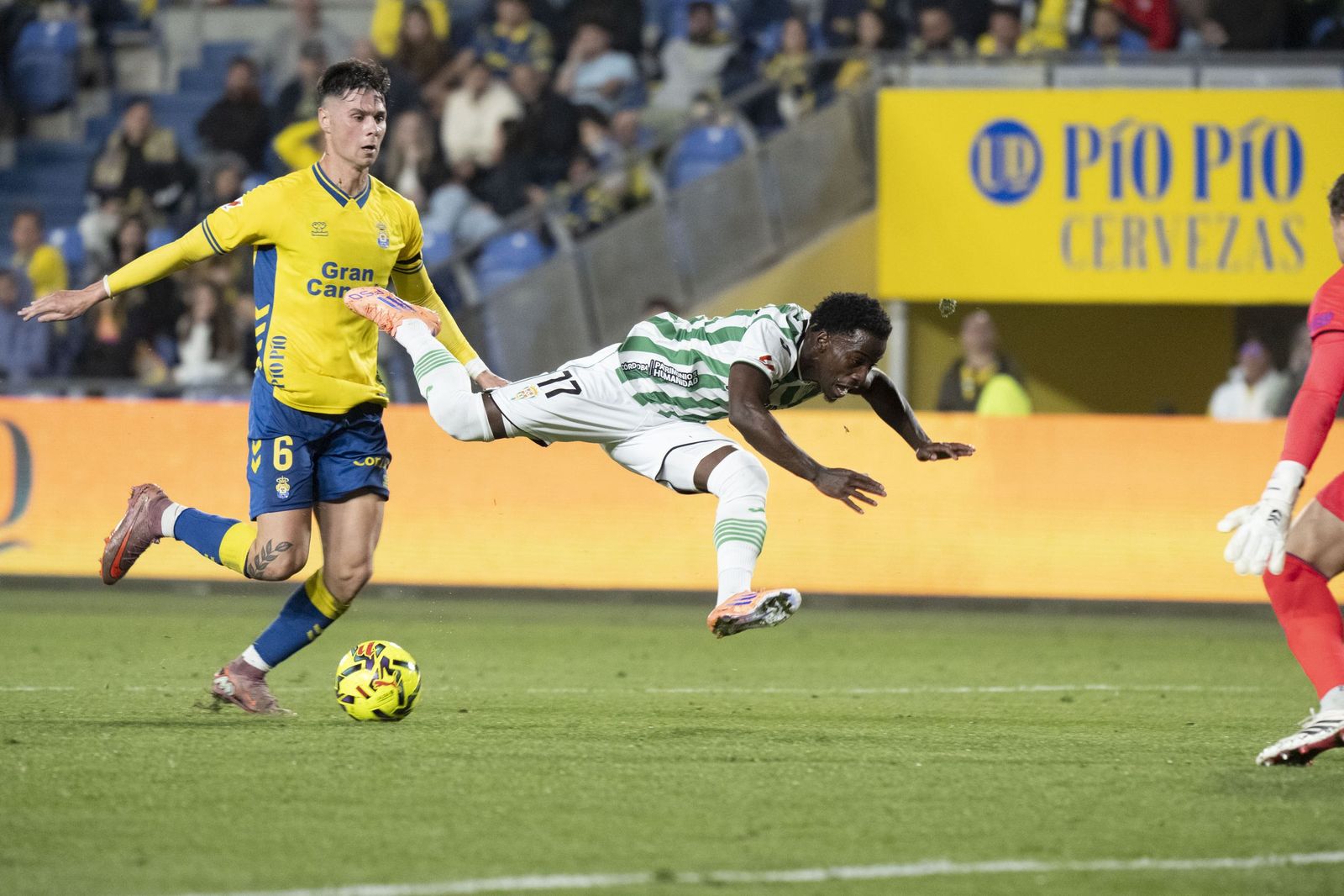 Las mejores fotos del triunfo del Córdoba CF ante Las Palmas