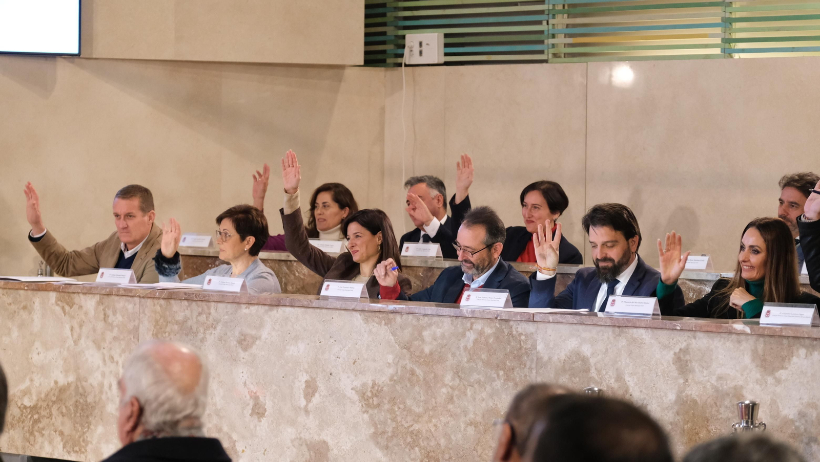 Imágenes del Pleno del Ayuntamiento de Almería