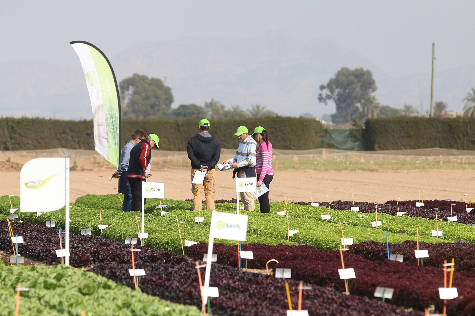 Fotogalería de las jornadas de puertas abiertas de Rijk Zwaan en Cartagena