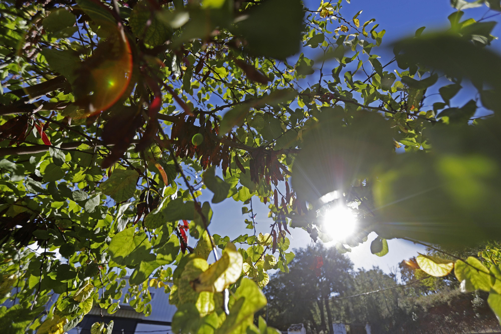 Ruta de Senderismo Charco Malo