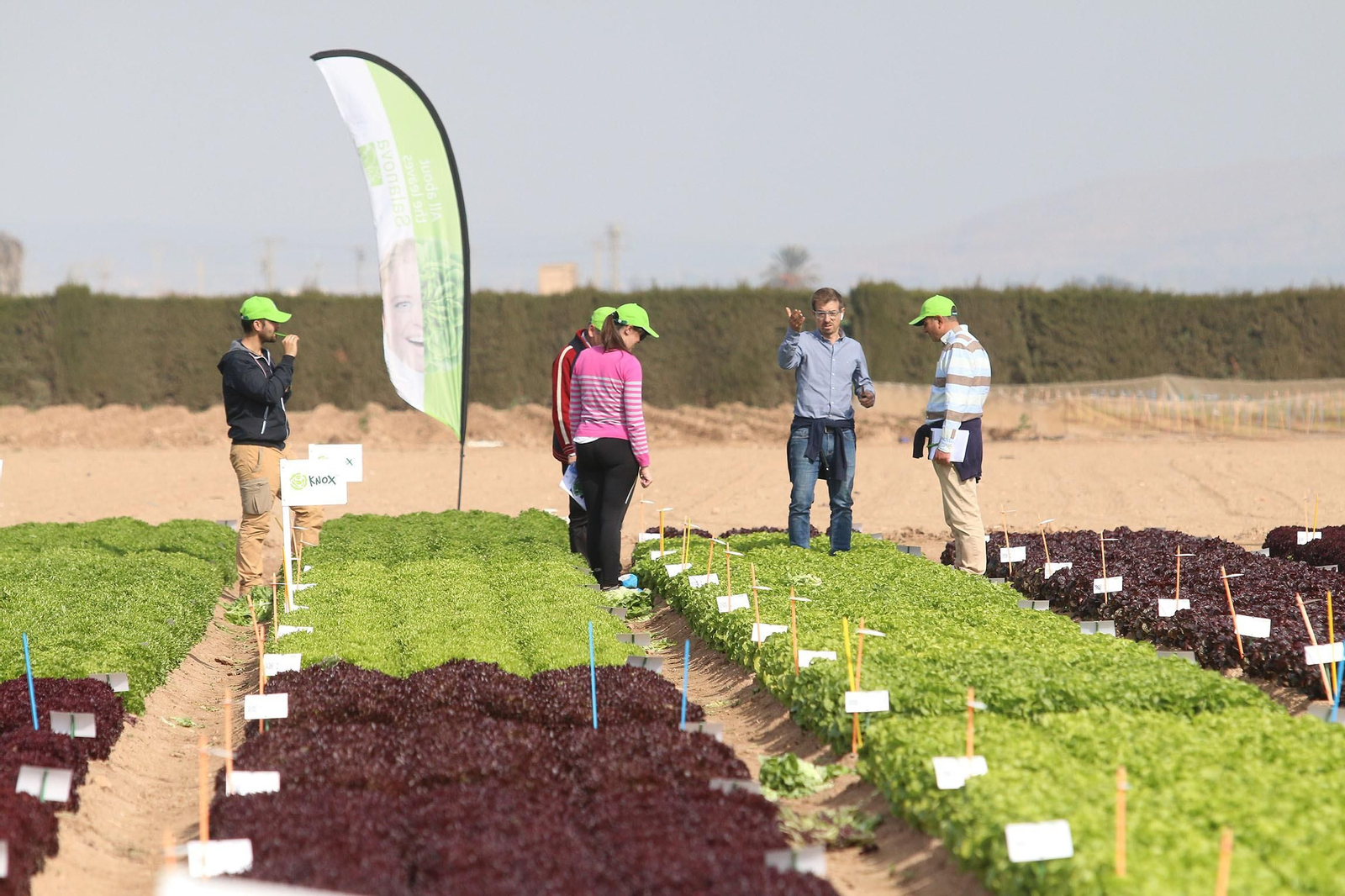 Fotogalería de las jornadas de puertas abiertas de Rijk Zwaan en Cartagena
