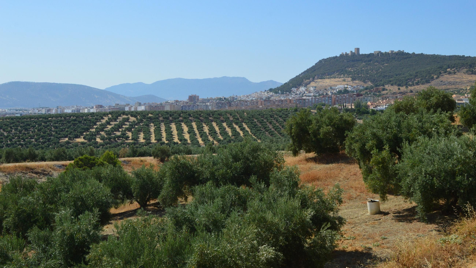Se inicia la Información Pública del Plan de Ordenación del Territorio de Andalucía (POTA) en su Versión preliminar