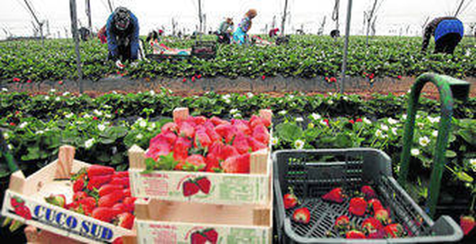 El PER cumple treinta años