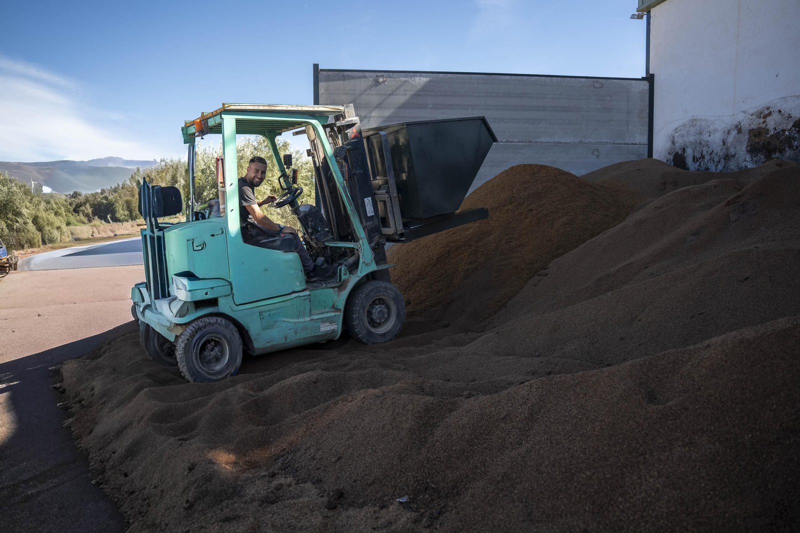 Os enseñamos como se hace el aceite en la almazara de Fiñana, en imágenes