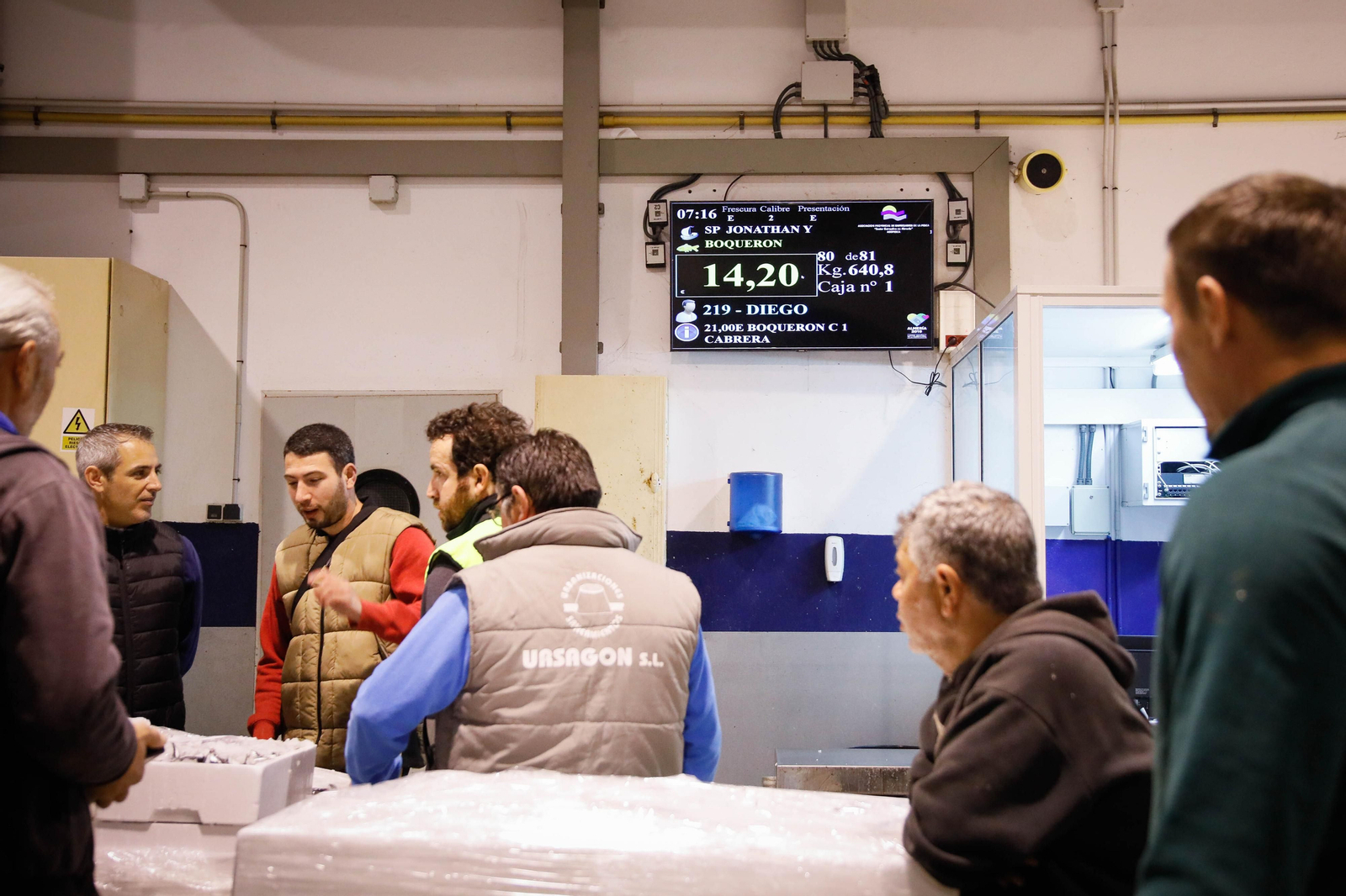 Te contamos en imágenes como ha sido la descarga de las traiñas en la lonja de Almería