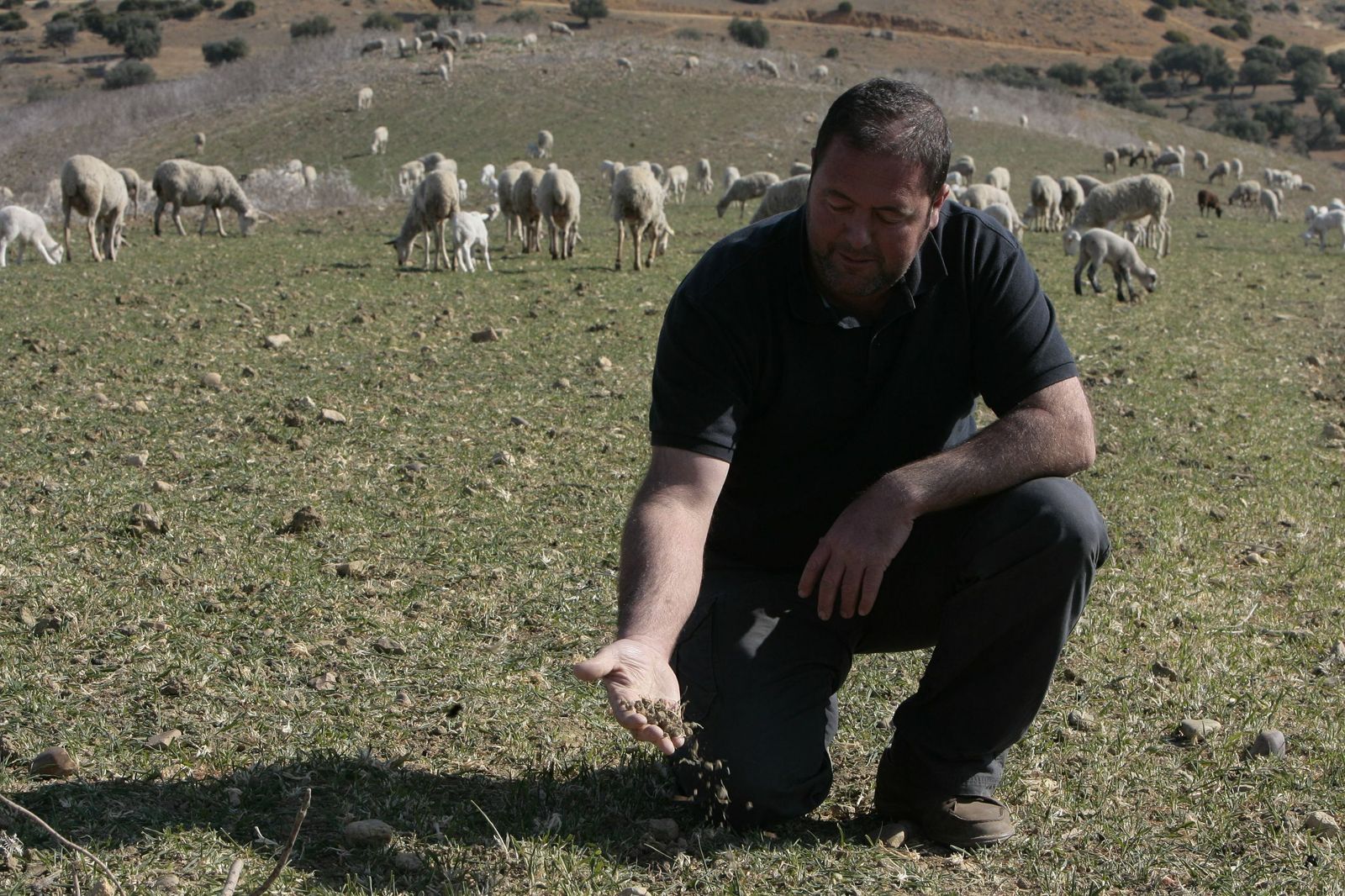 Un ganadero muestra un puñado de tierra seca.