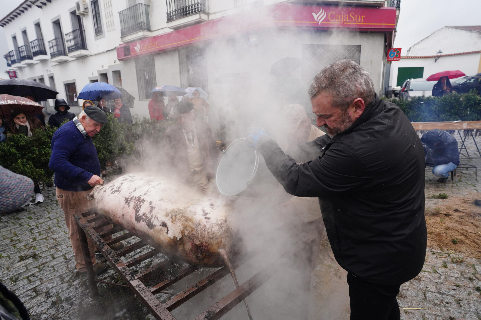 La Fiesta de la Matanza de Alcaracejos, en imágenes