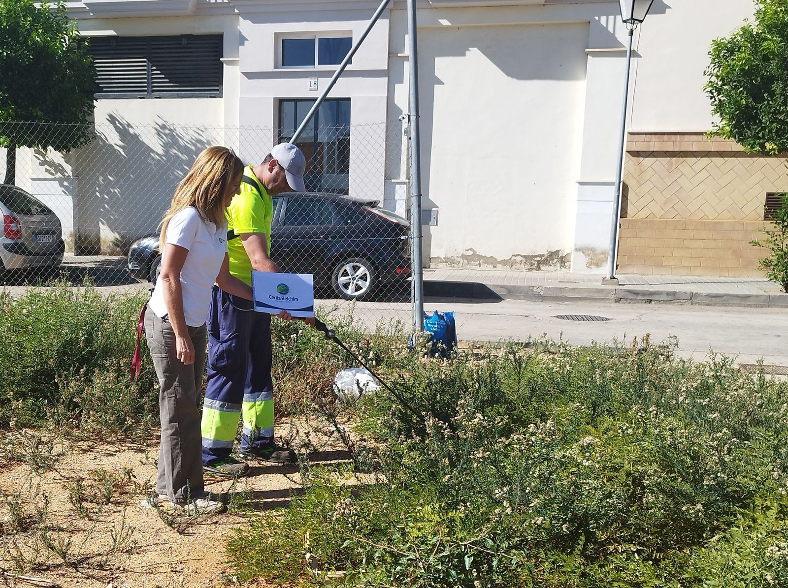 Ensayos con los herbicidas naturales en Lepe.