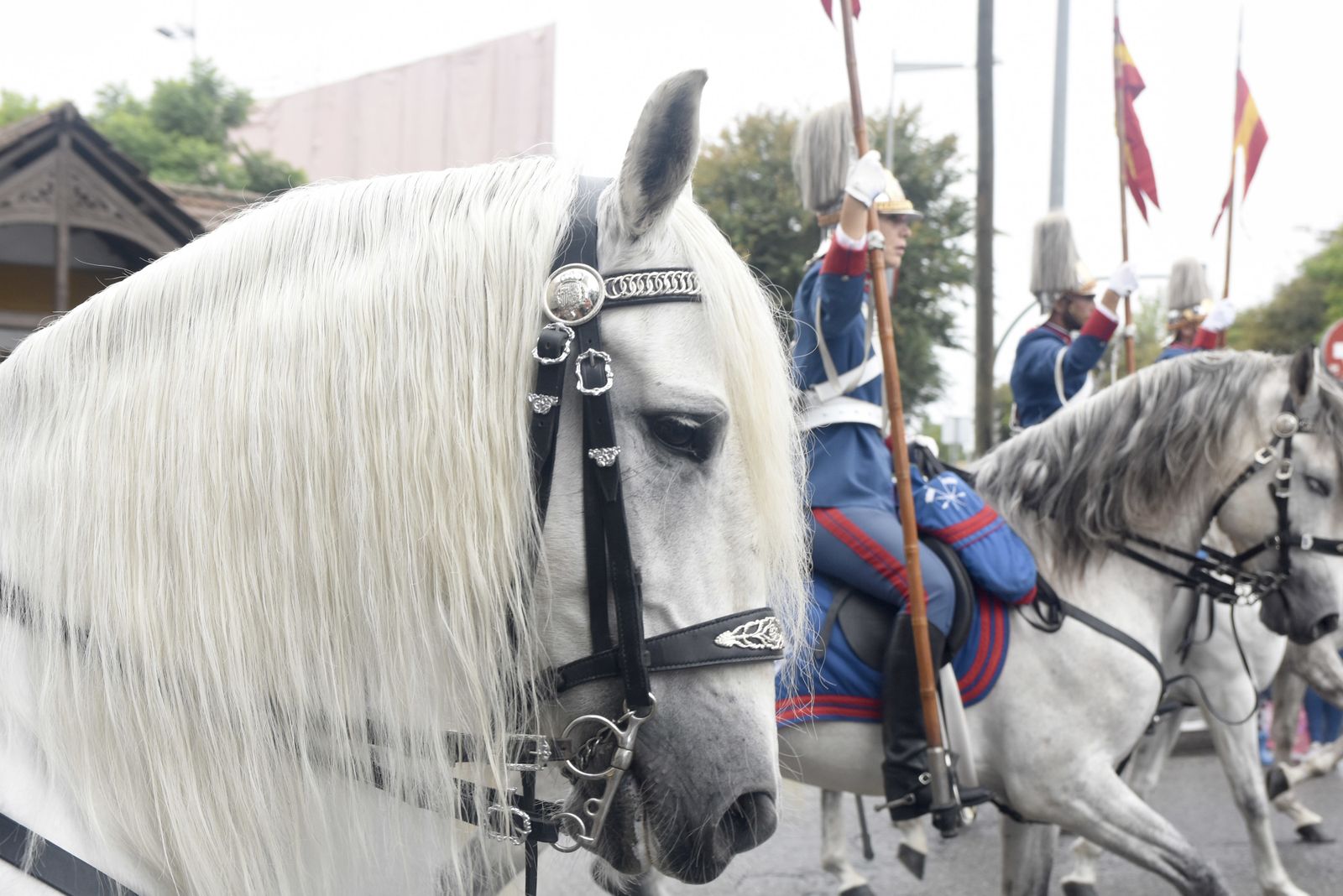 Las imágenes de la Magna Marcha Ecuestre