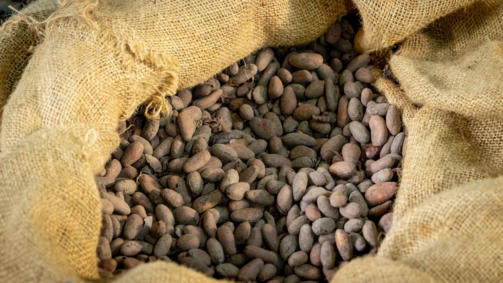 El cacao es la materia prima de la empresa, procedente de  países como Venezuela o Ecuador.