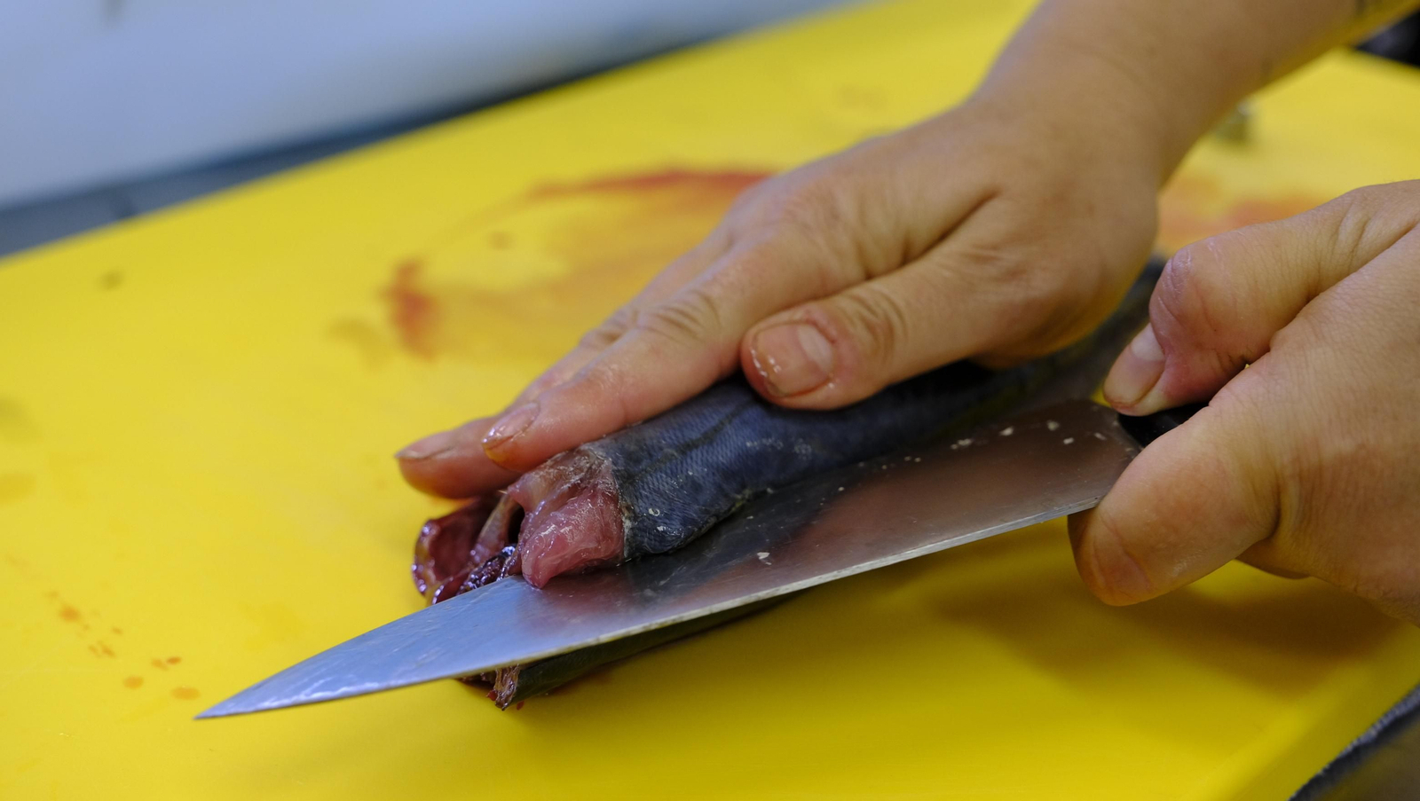 Imágenes de la Escuela de Hostelería de Almería, un referente en la enseñanza gastronómica