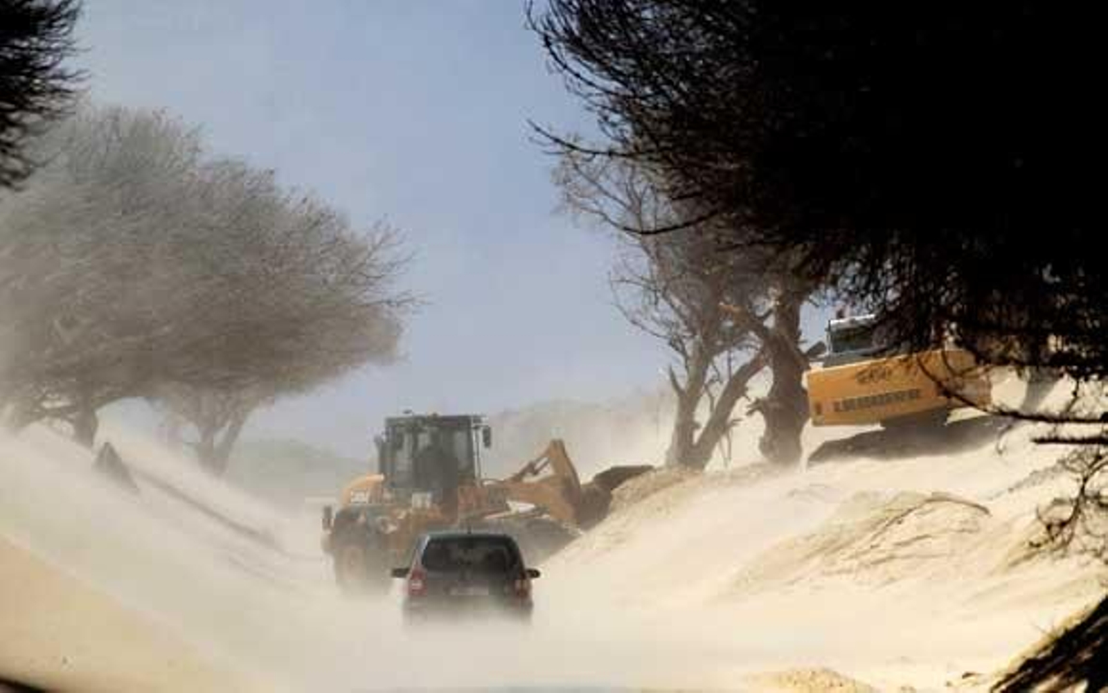 Cinco alternativas para la Duna de Valdevaqueros