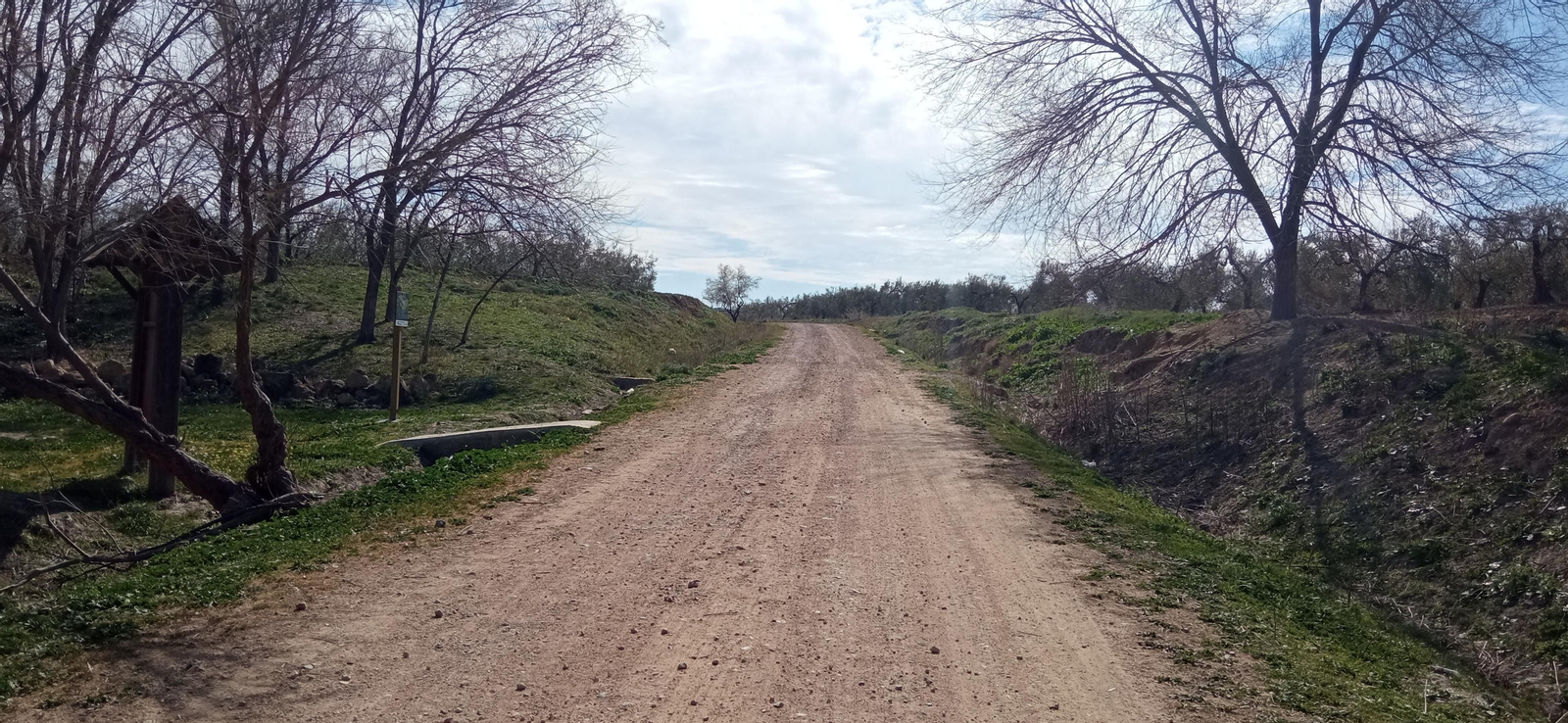Las imágenes de la ruta de la dehesa de Albaida del Aljarafe
