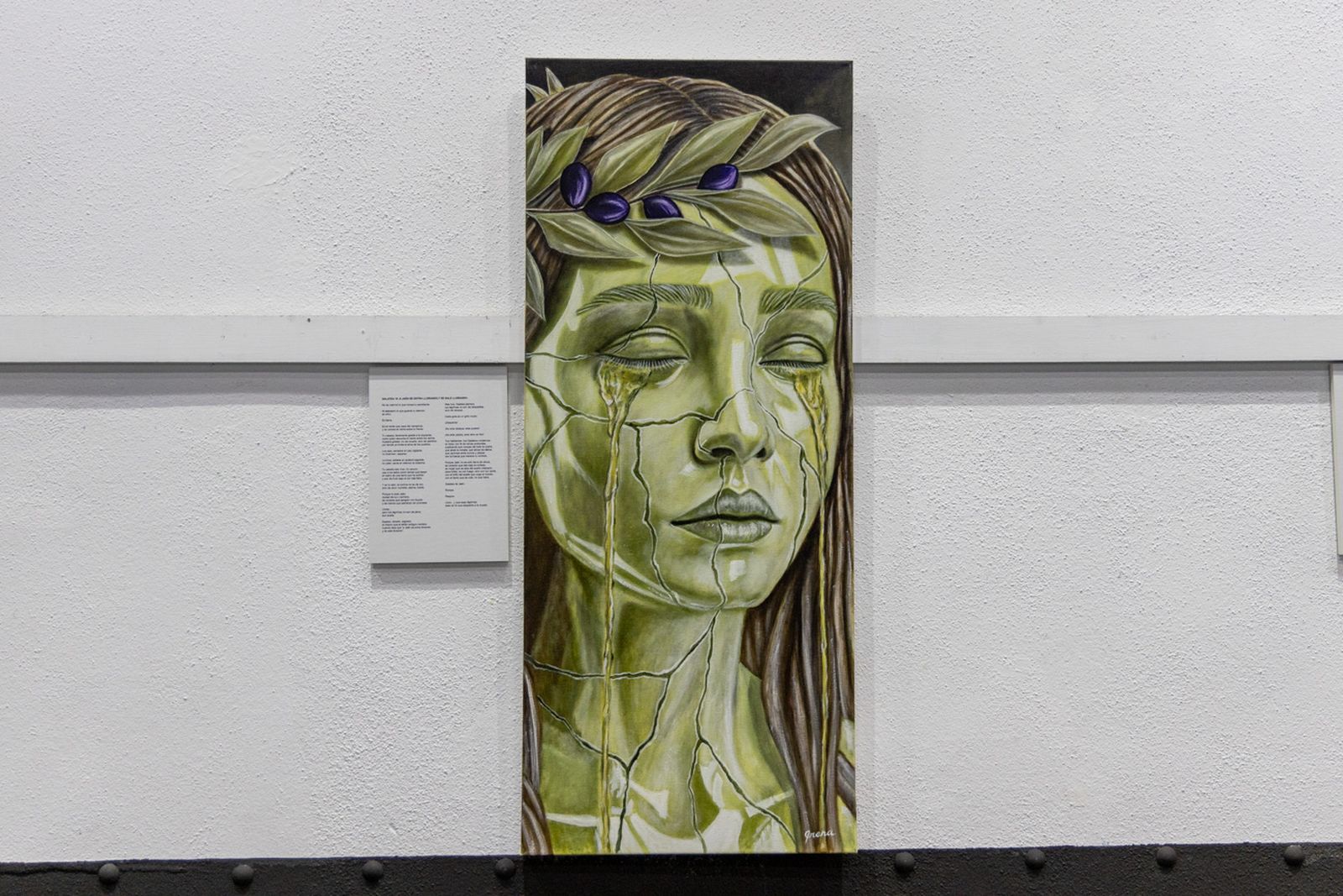 Las imágenes más impactantes de la exposición de Felipe Erena en Jaén, en imágenes