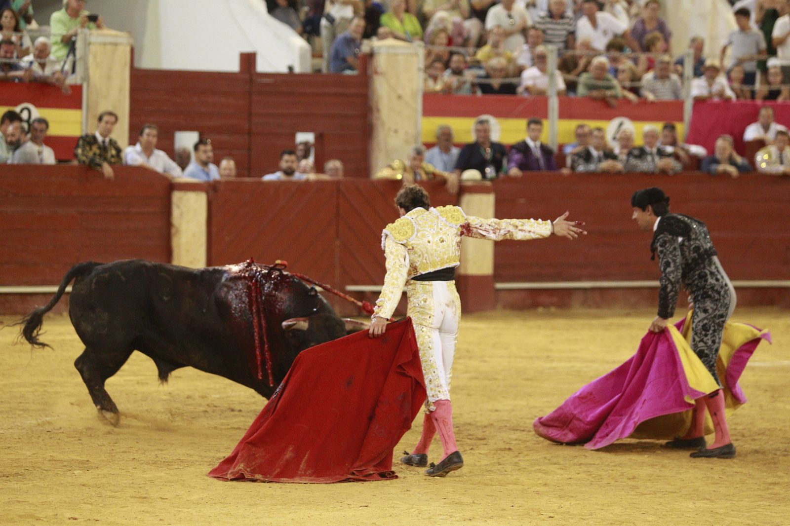 Imágenes del triunfo del torero almeriense Jorge Martínez el día de su alternativa