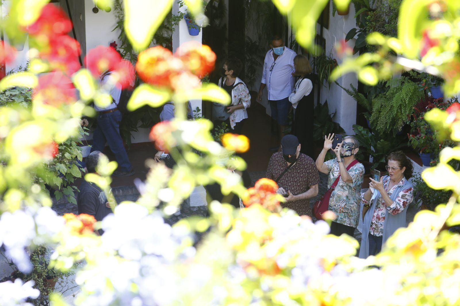 Las fotografías del primer día de apertura de los Patios de Córdoba en otoño