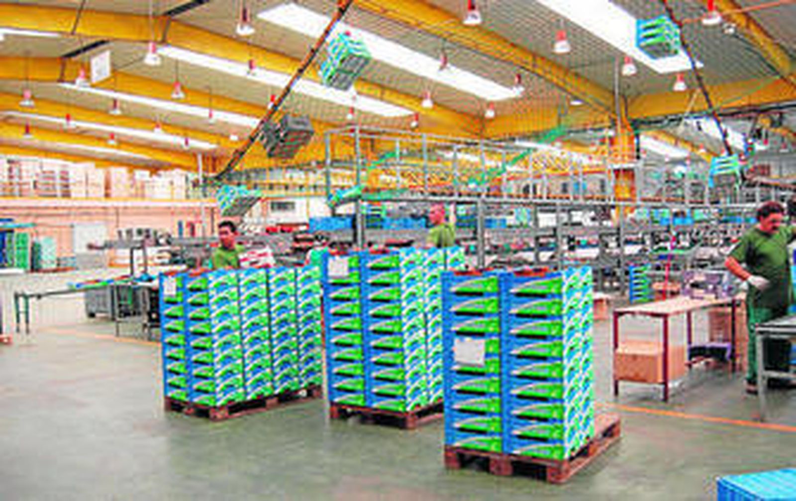 Cajamar apuesta por financiar la agroalimentación.