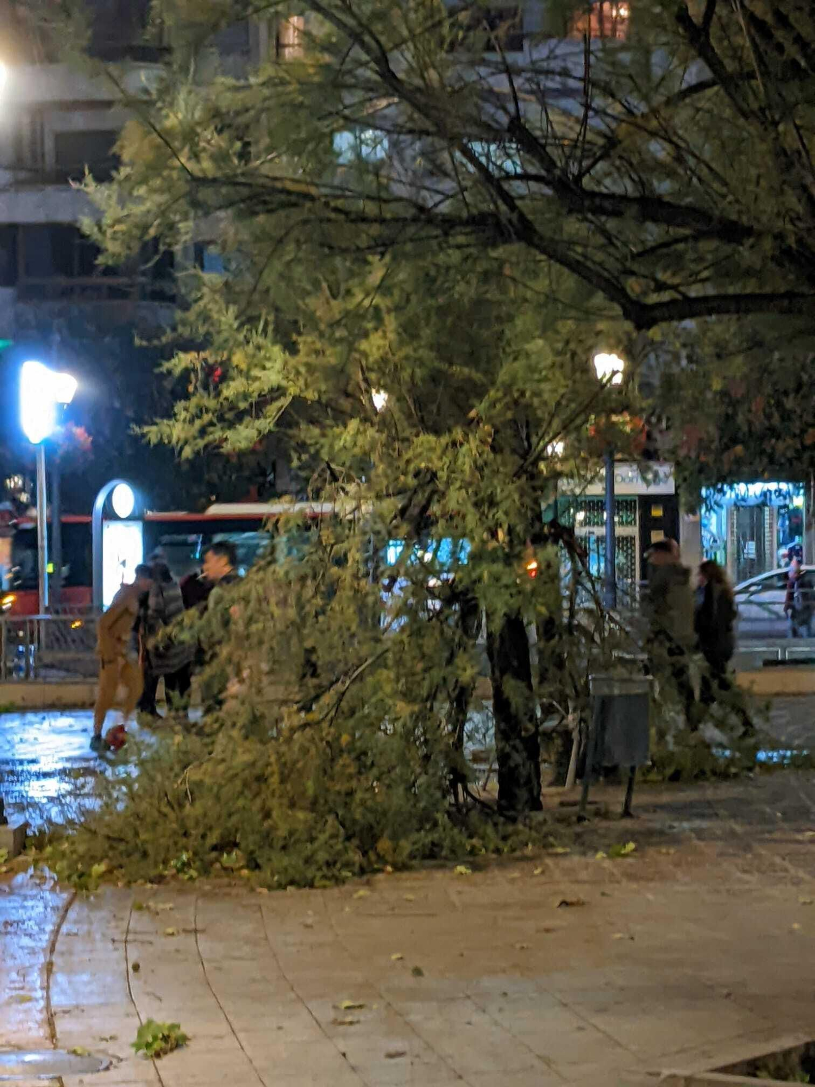 Fotos: así está siendo el fuerte viento de la borrasca Bernard en Granada
