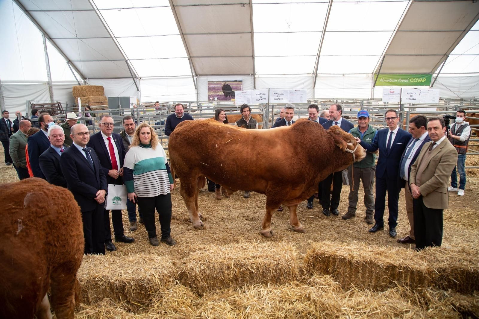 Las autoridades, durante la inauguración de la Feria Agroganadera de Los Pedroches.