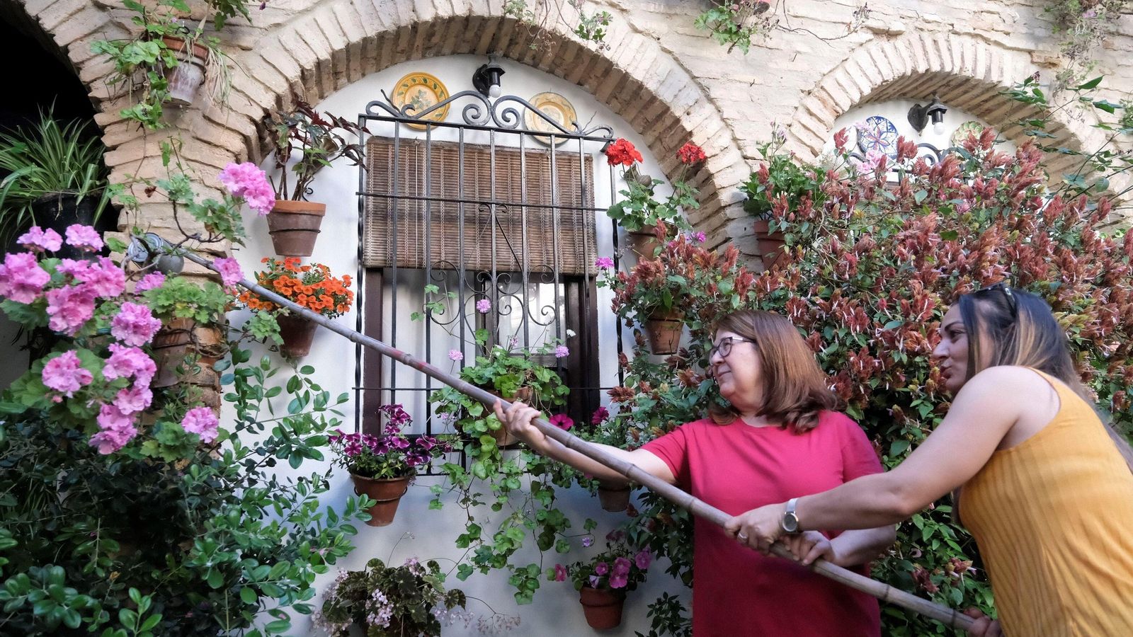 Detalles finales antes de la apertura en Parras, 6.