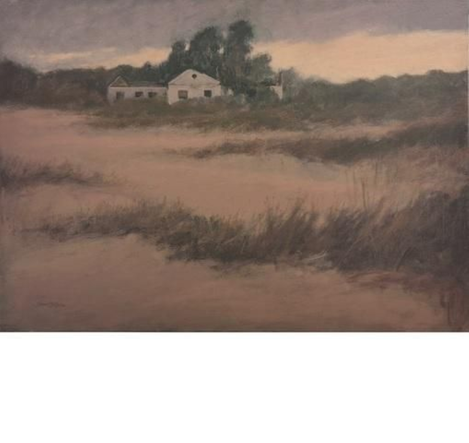 Daniel Bilbao: Doñana re-velada