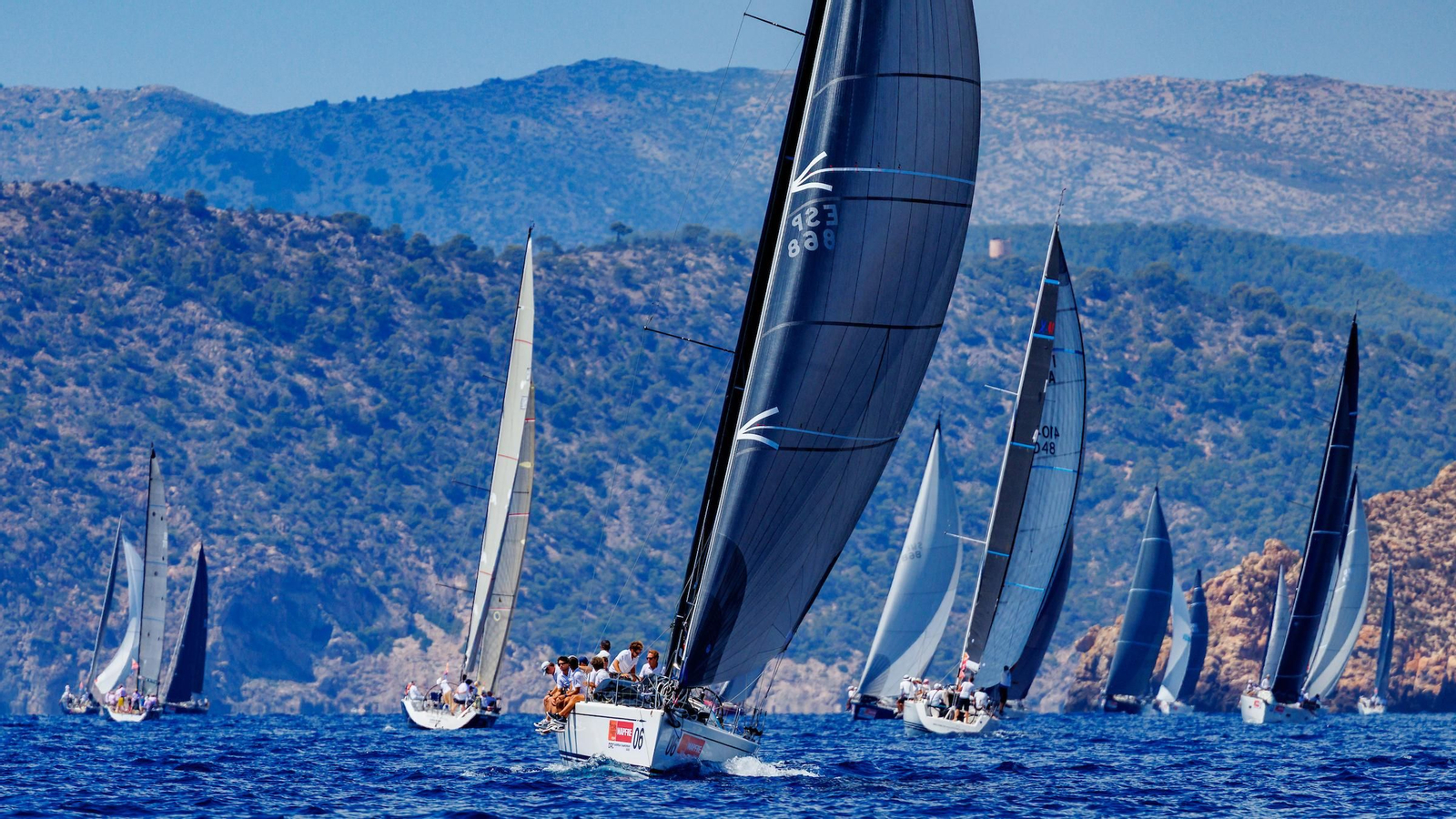 ORCA A Vela Regata (2).jpg
