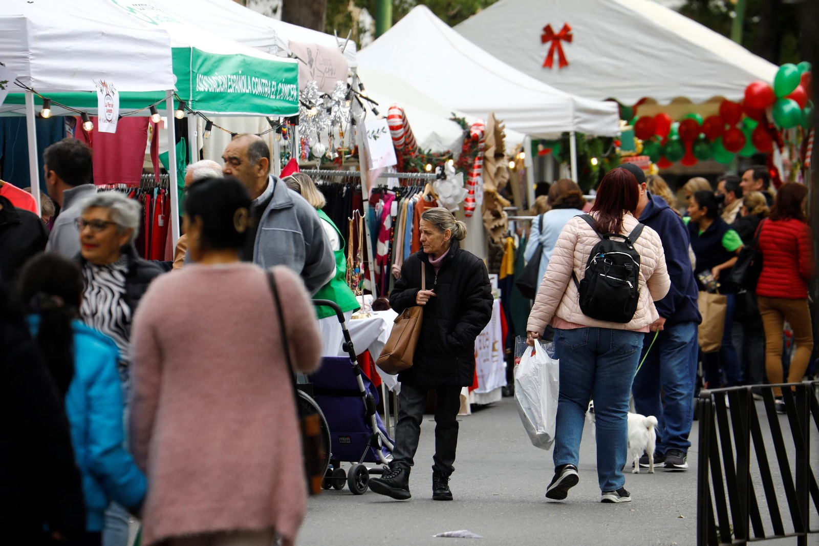 Las mejores imágenes del VI Santa Rosa Day Las mejores imágenes del VI Santa Rosa Day