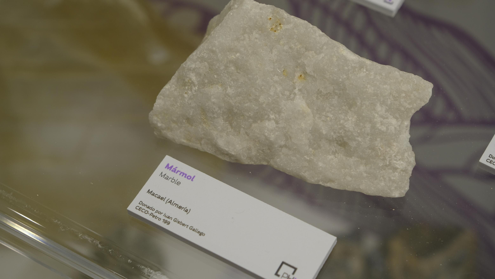 Descubre en estas fotos las maravillas que esconde el Pabellón de Historia Natural de la UAL