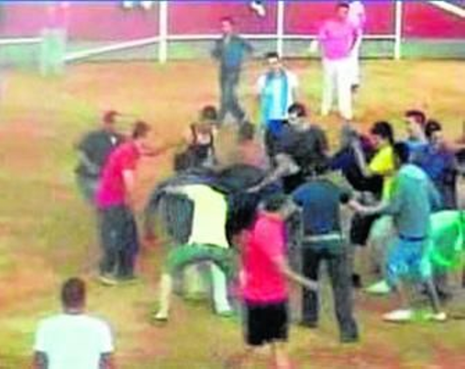 Reproducción del vídeo que muestra el brutal acoso a la vaquilla por parte de un grupo de jóvenes.