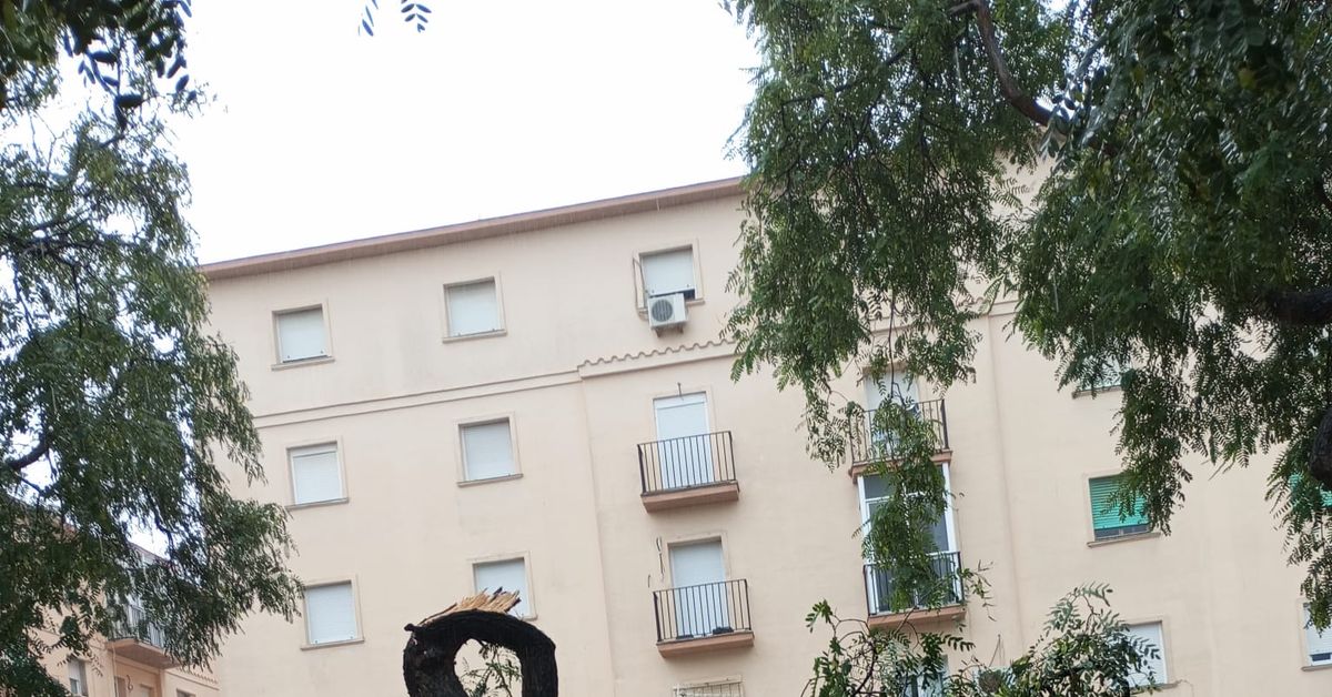 Imágenes de las inundaciones en el entorno del puente del Gran Poder ...