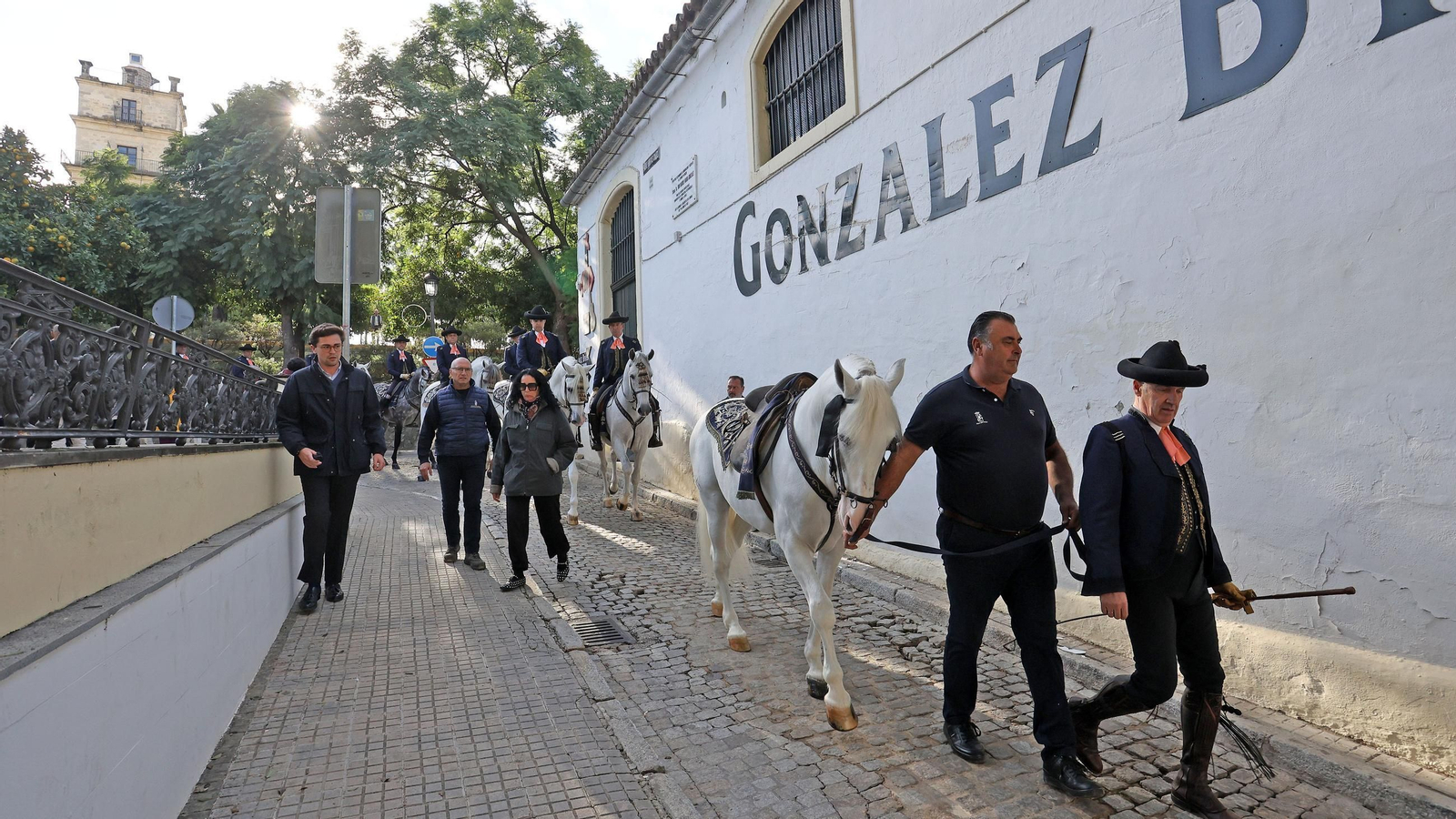 Imágenes de los caballos y jinetes de la Real Escuela hacia el funeral de Álvaro Domecq