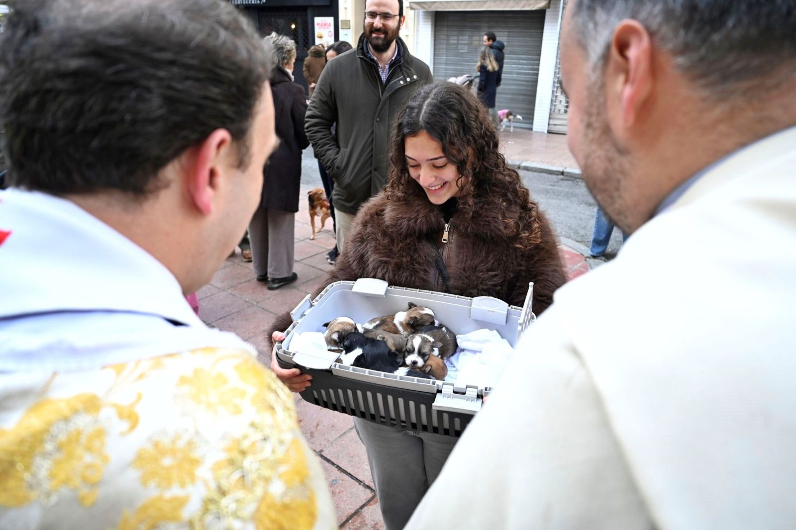 La bendición de animales por San Antón en Córdoba